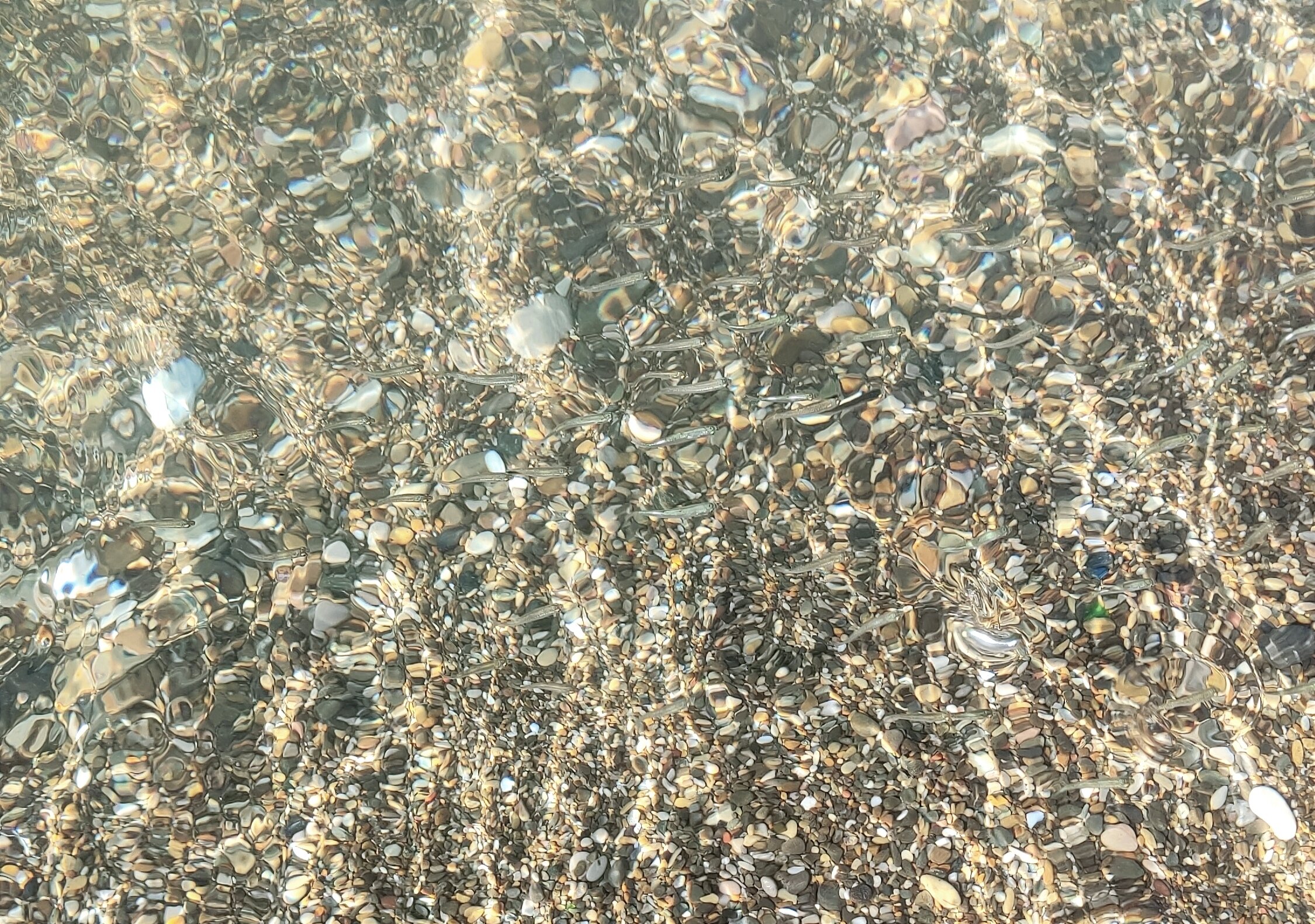 Фото Ассоль