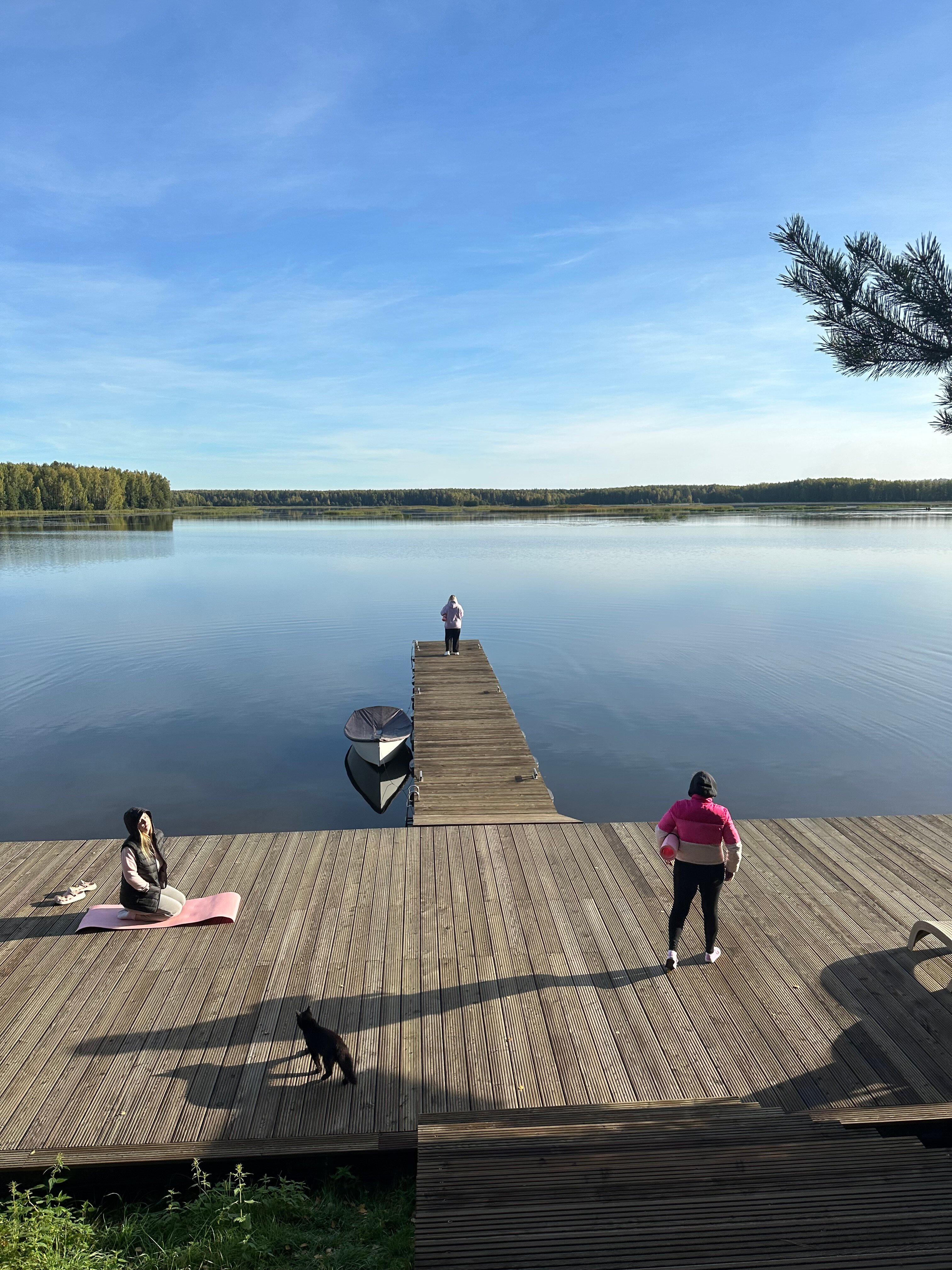 Фото Лунный Кролик