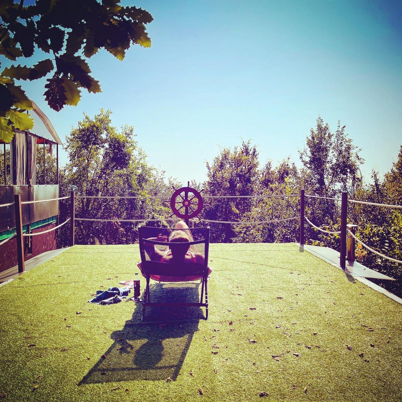 Фото Оранжереи