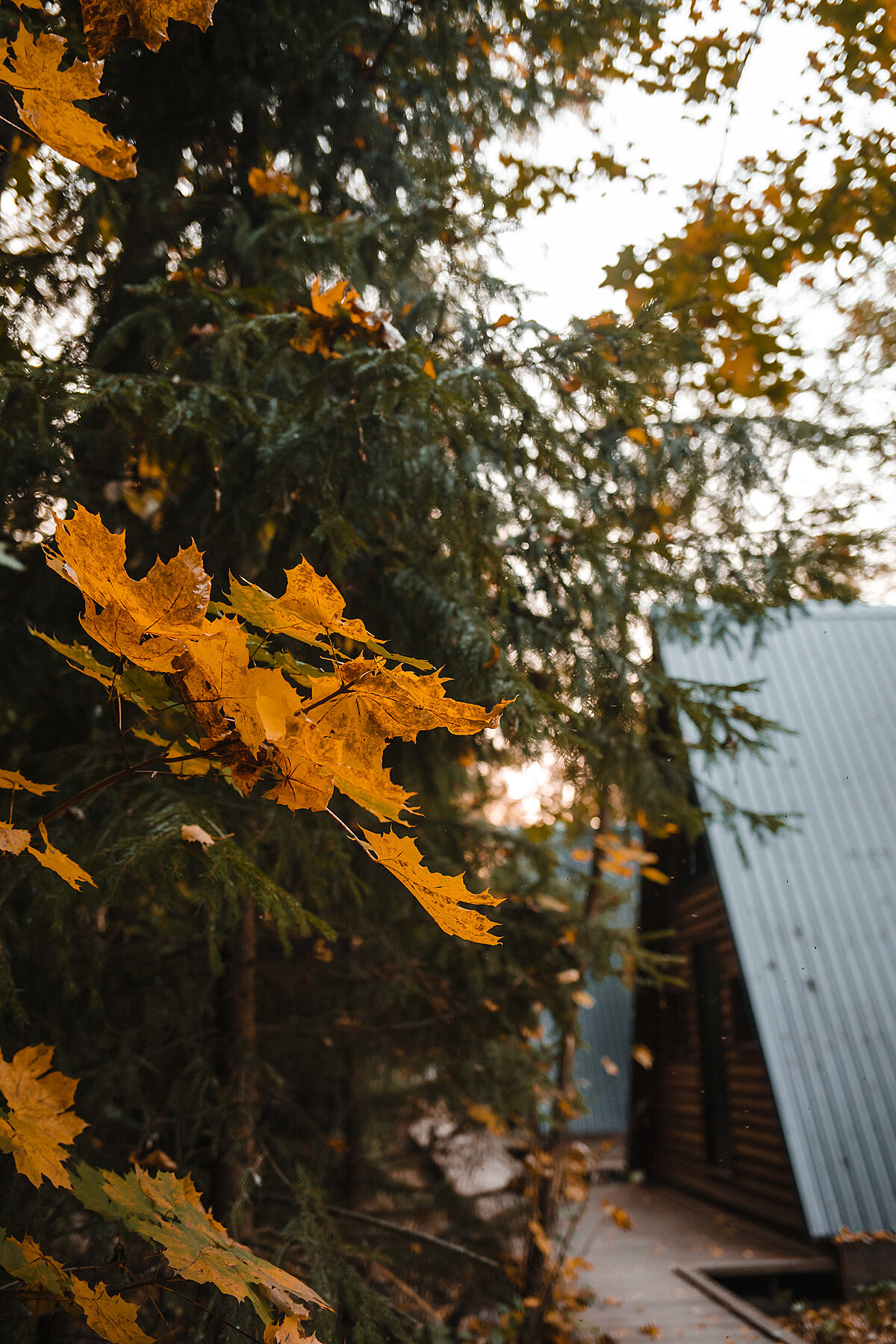 Фото Вежи Волжские