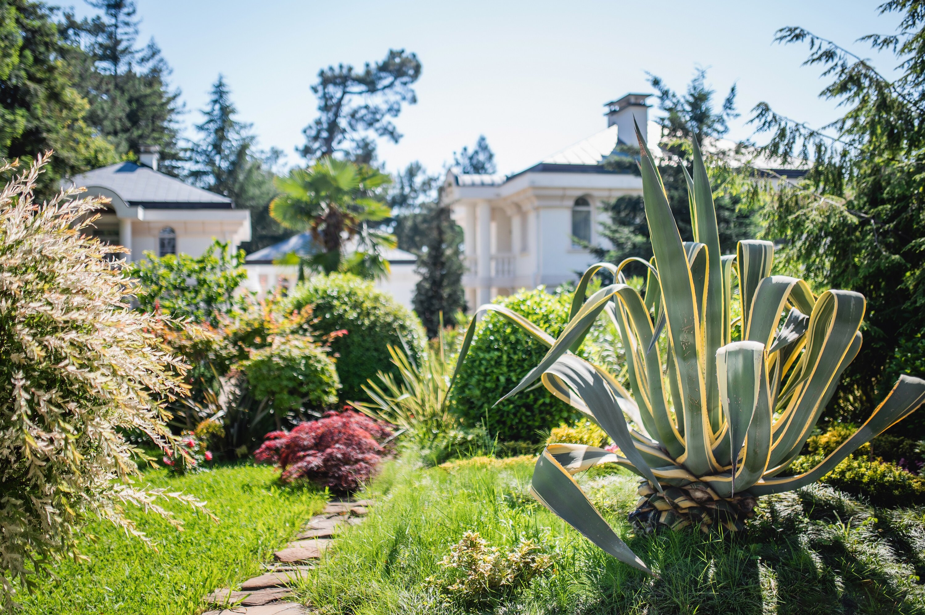 Фото Villas & SPA by Ostrova