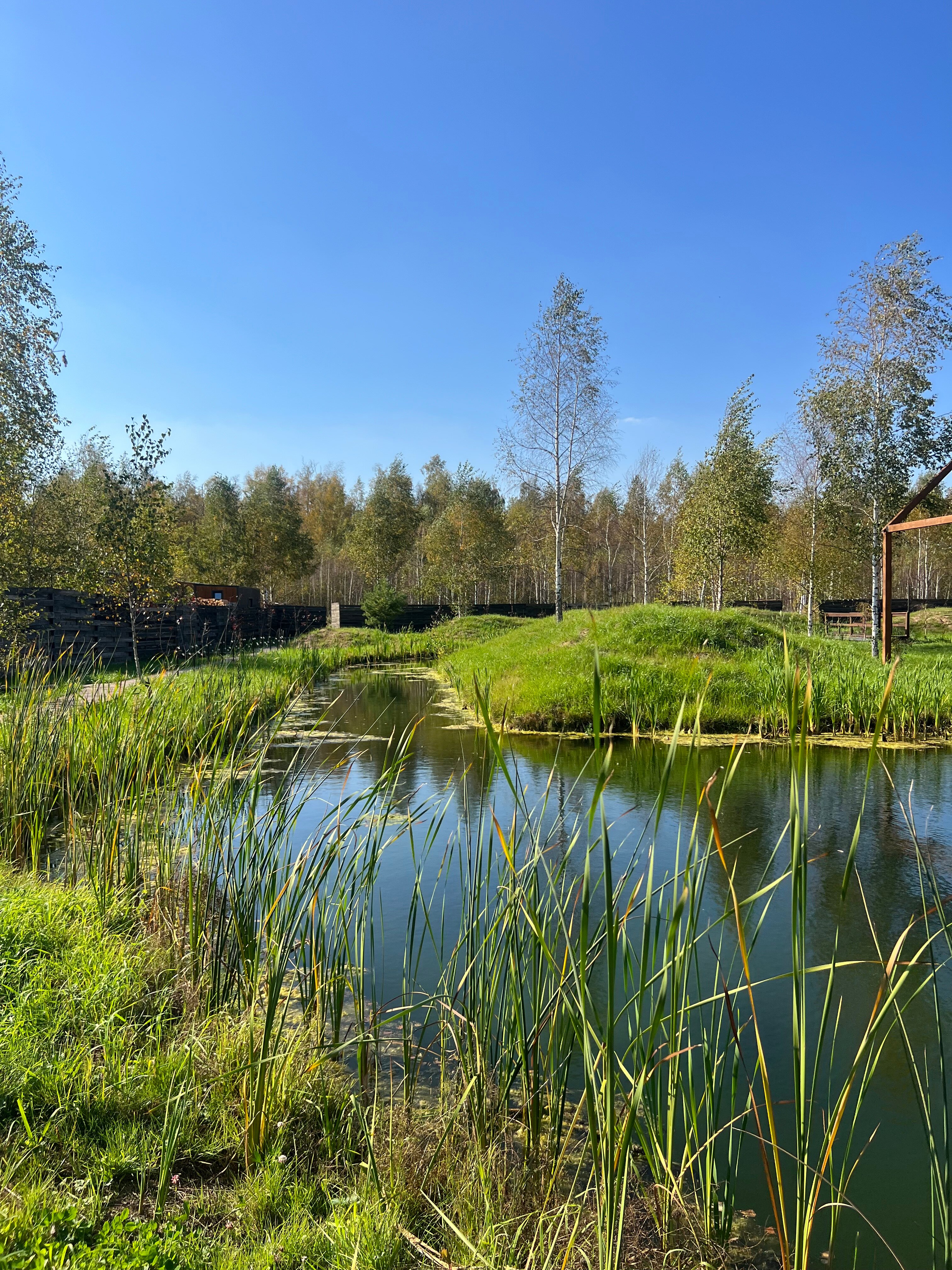 Фото В Поле