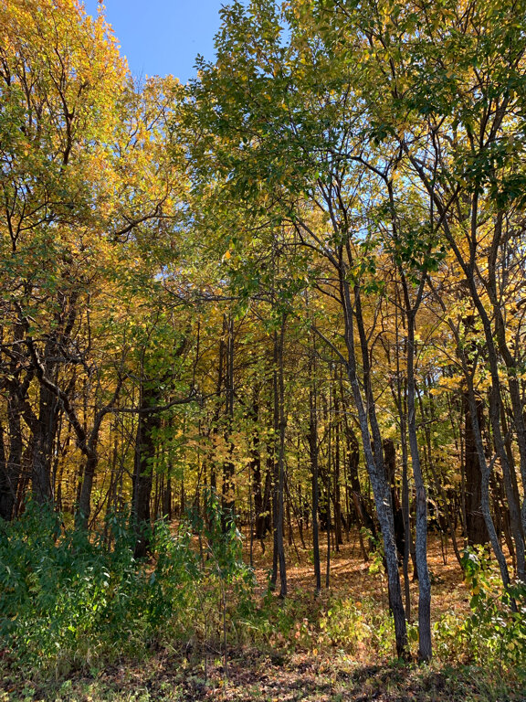 Фото Скандинавия