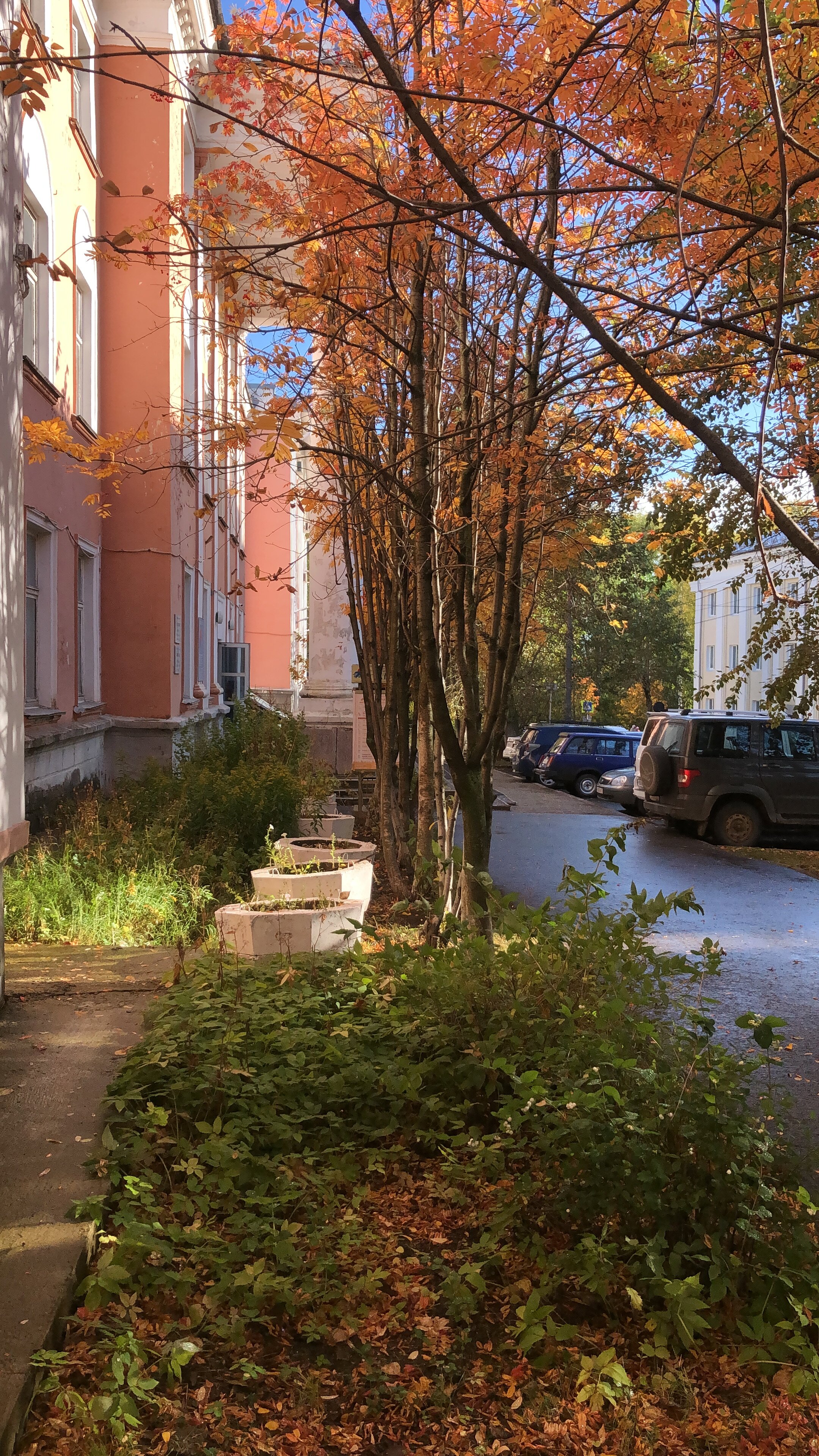 Фото Пелысь