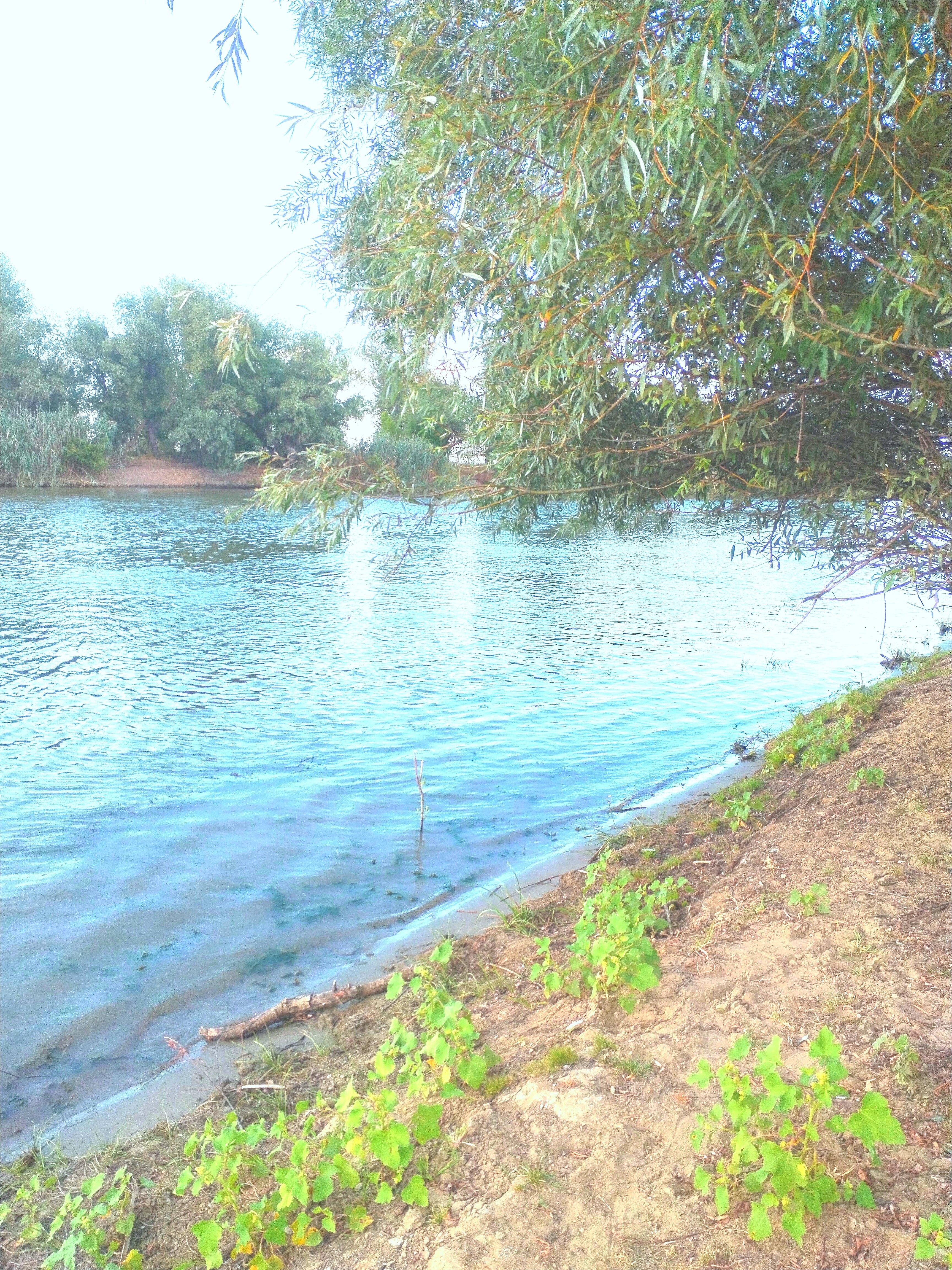 Фото Дед Щукарь