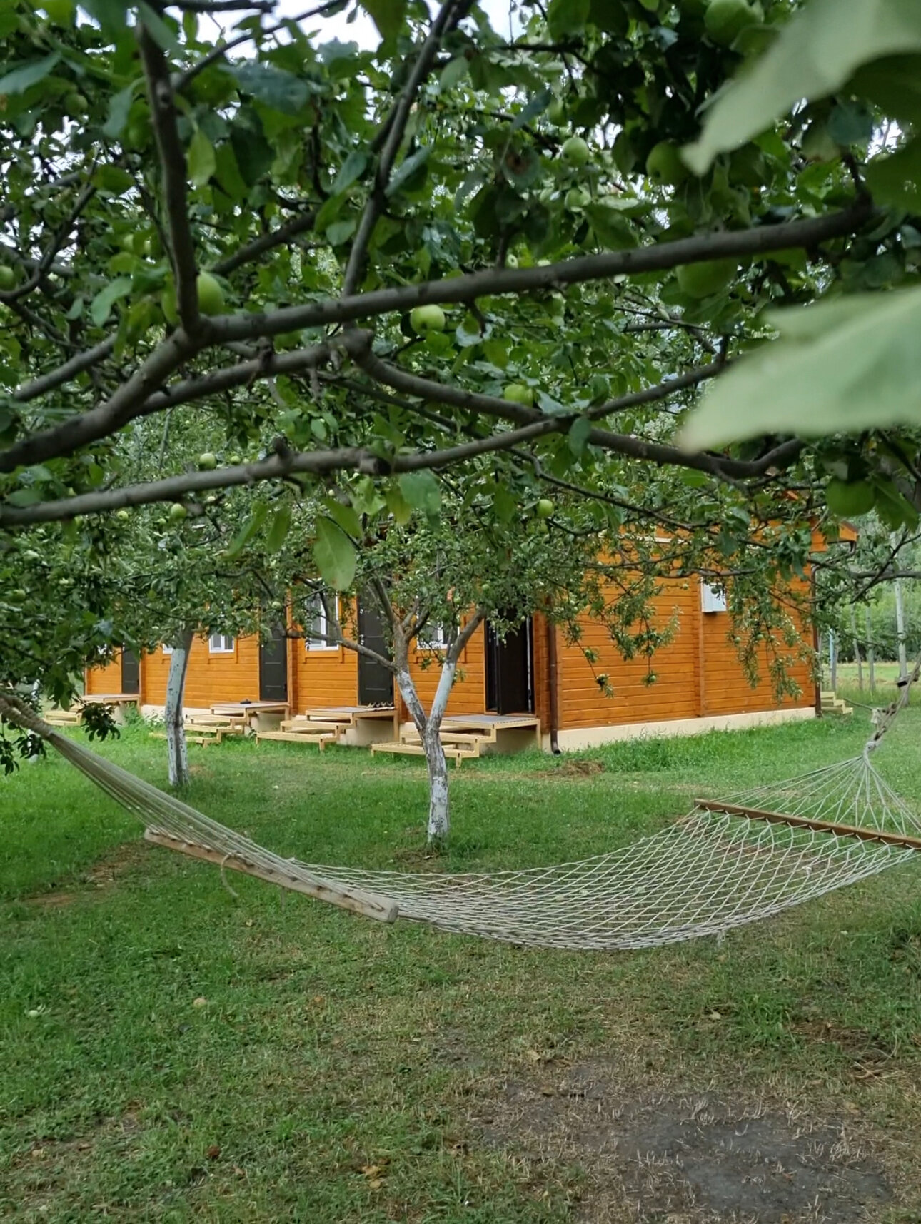 Фото Рагдан