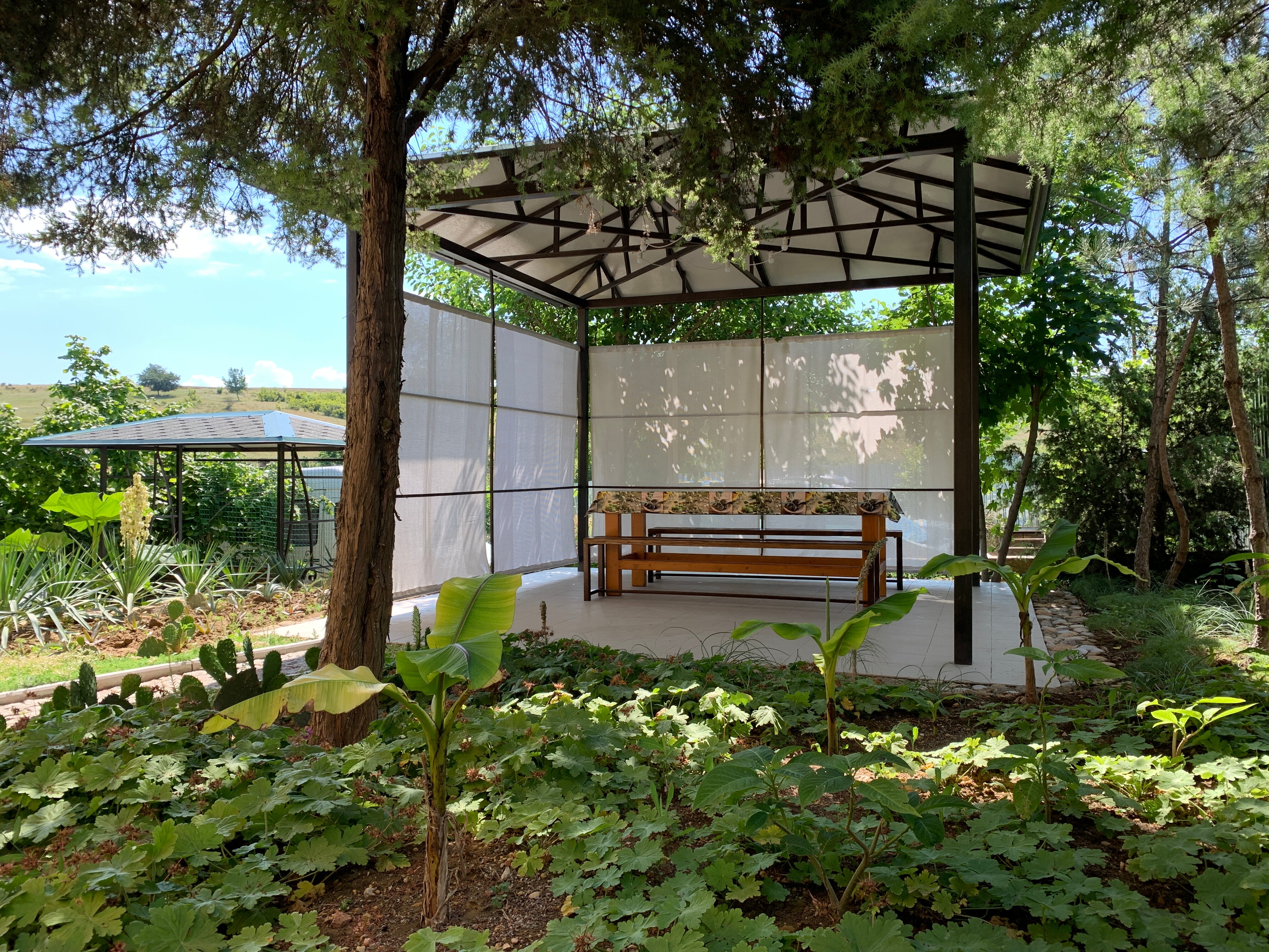 Фото Можжевеловый дворик