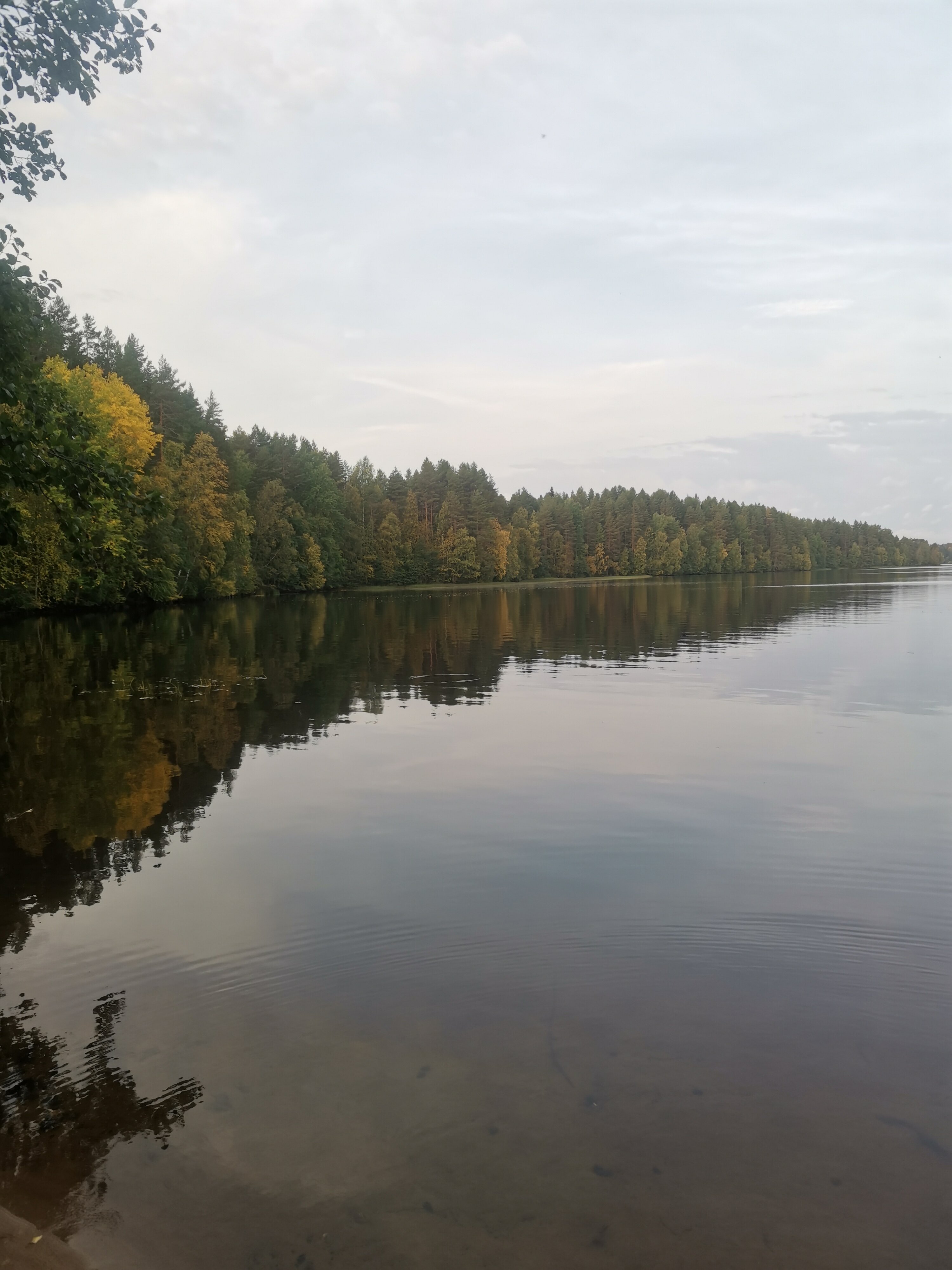 Фото Курмойла