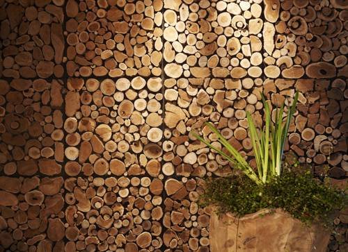 Фото Hotel Sonne