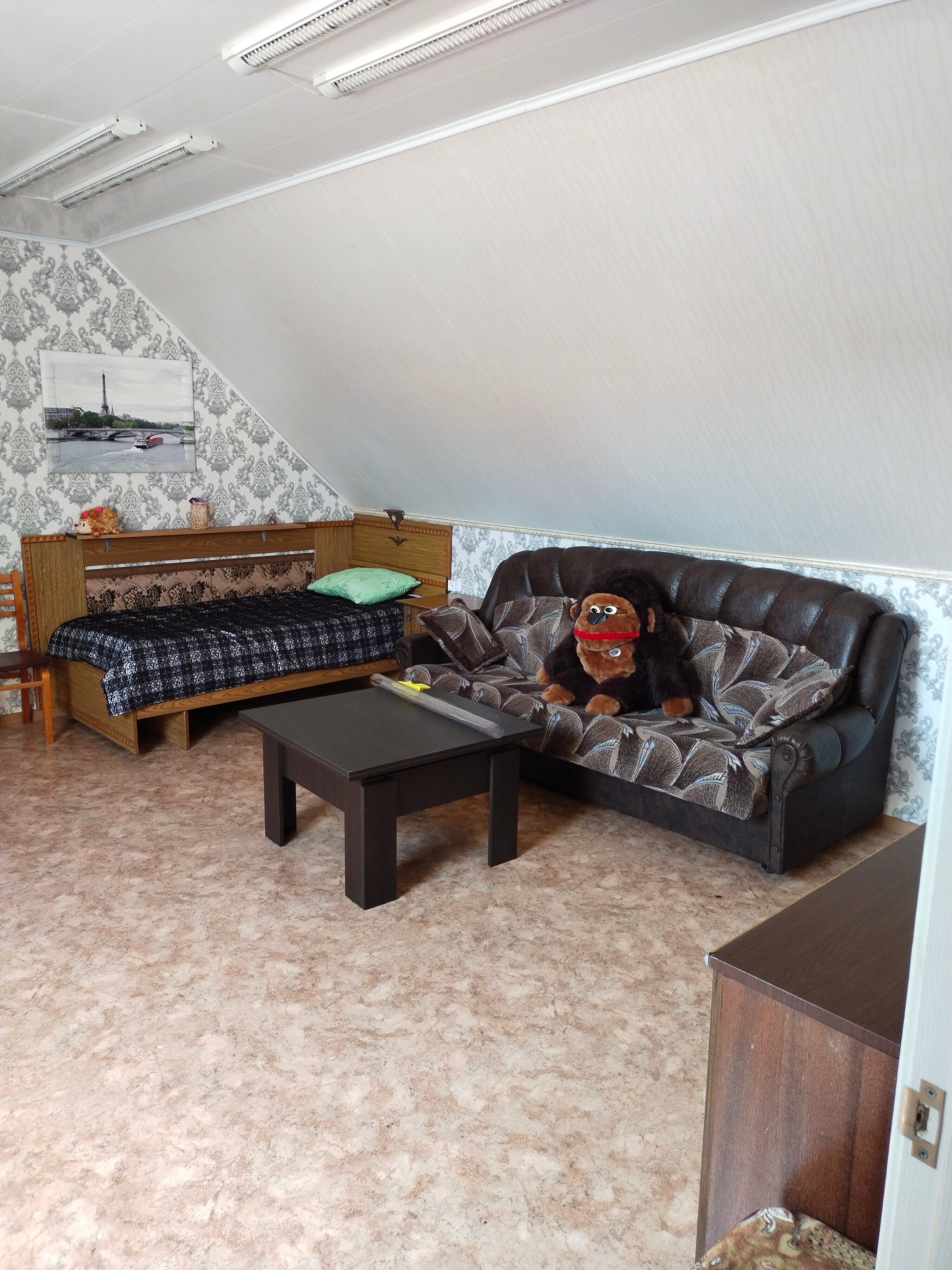 Фото Звезда