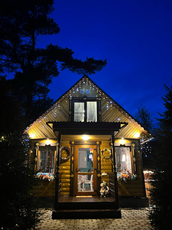 Фото Дом Шишки