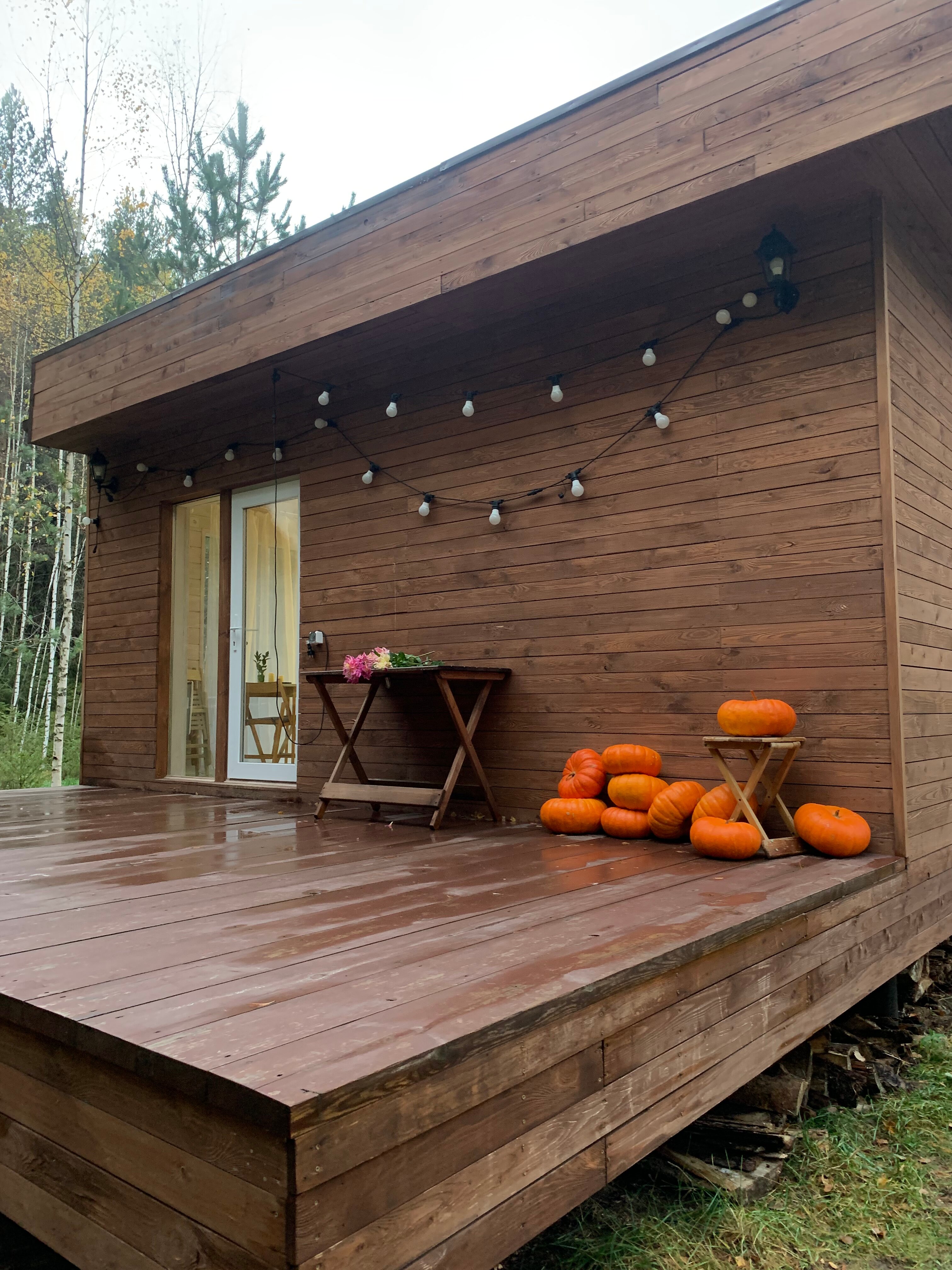 Фото Дом Китов