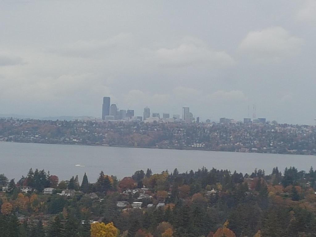 Фото Courtyard by Marriott Seattle Bellevue/Downtown