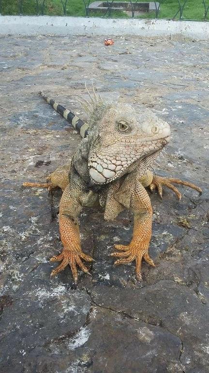 Фото Hotel Alexander