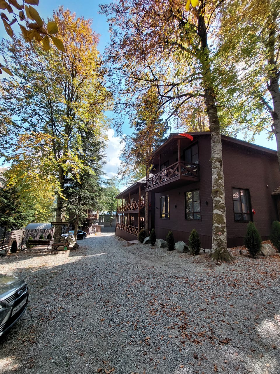 Фото Дубрава