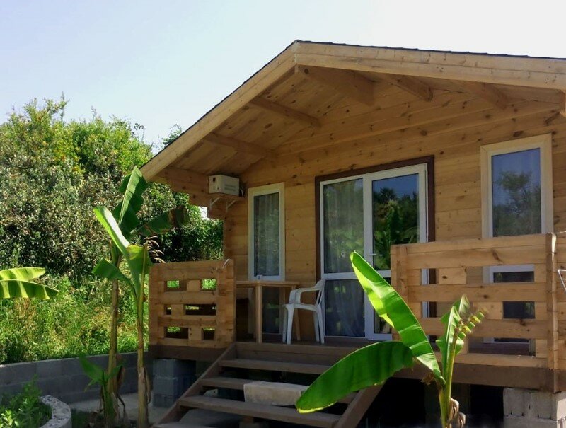 Фото У Комаровых