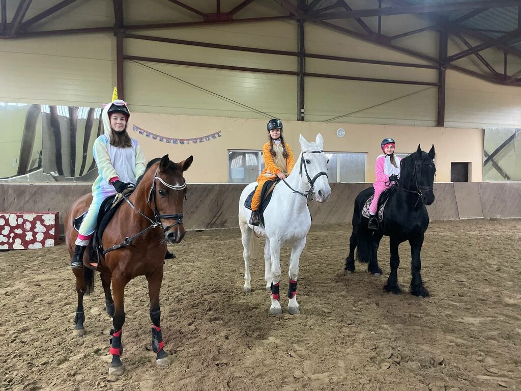 Horse riding Starocherkasskaya Rivyera Konny klub Koni-na-Donu, Rostov Oblast, photo