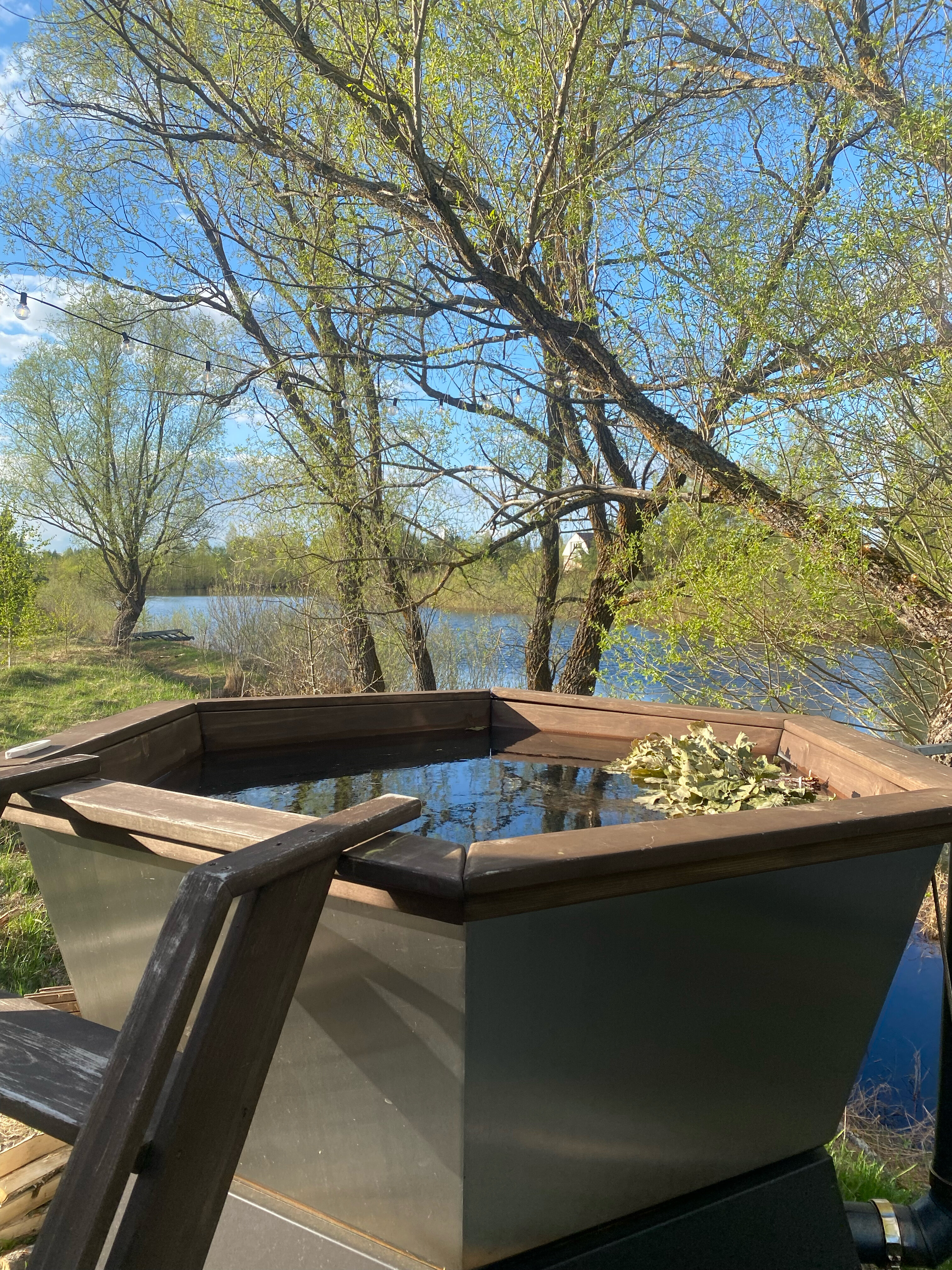 Фото Лес и луга