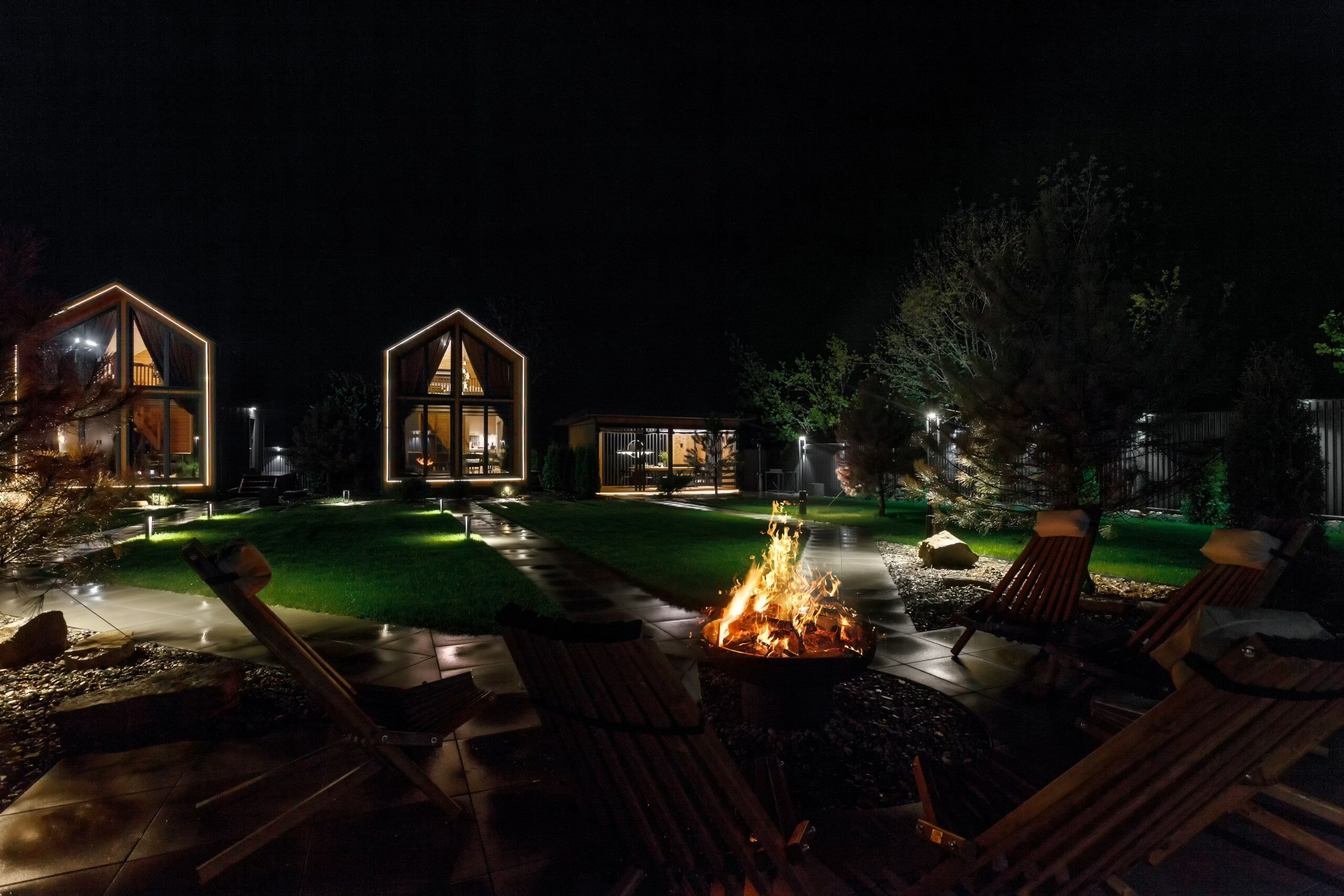 Фото 8 Сосен