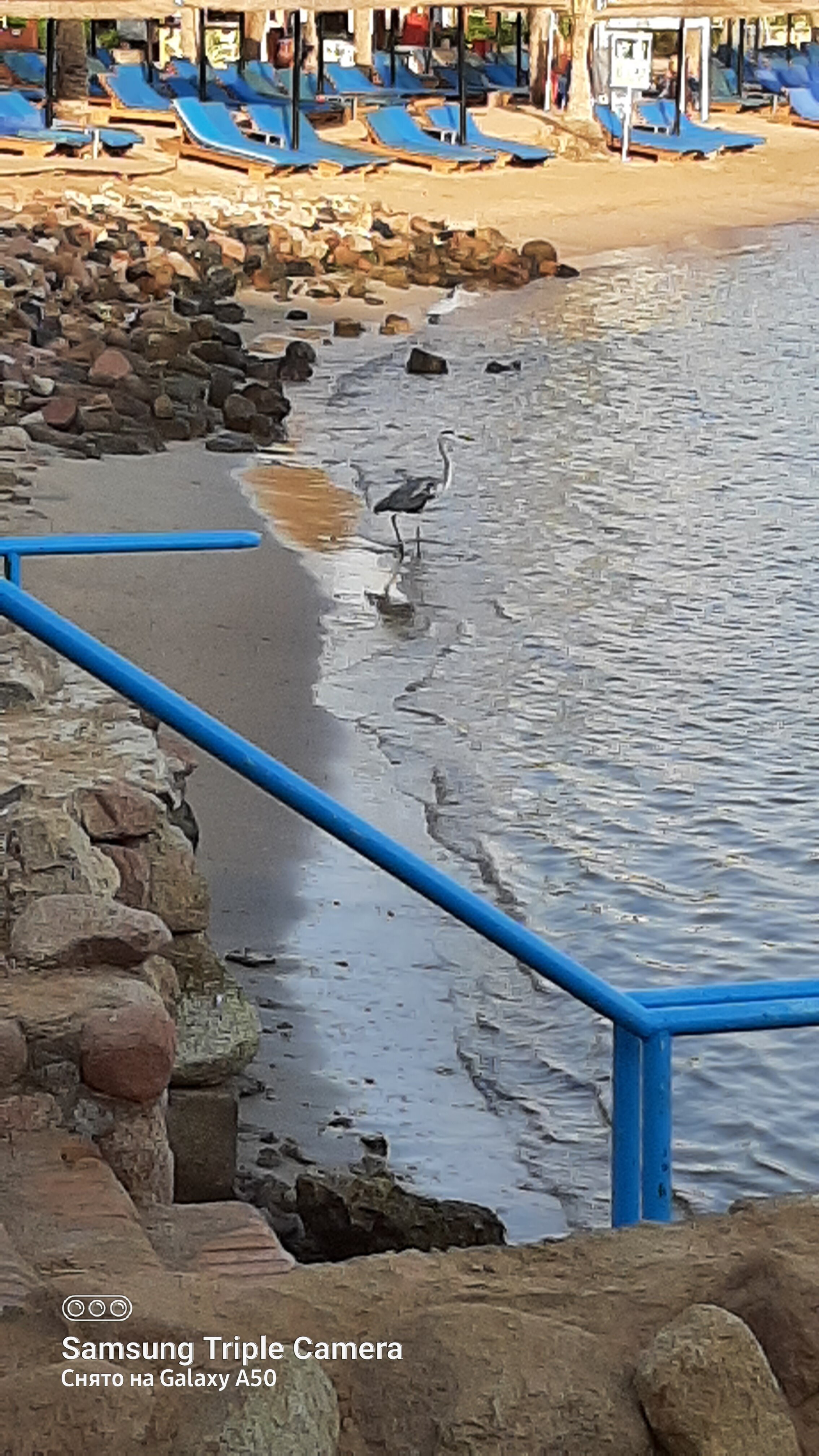Фото Lido Sharm Hotel