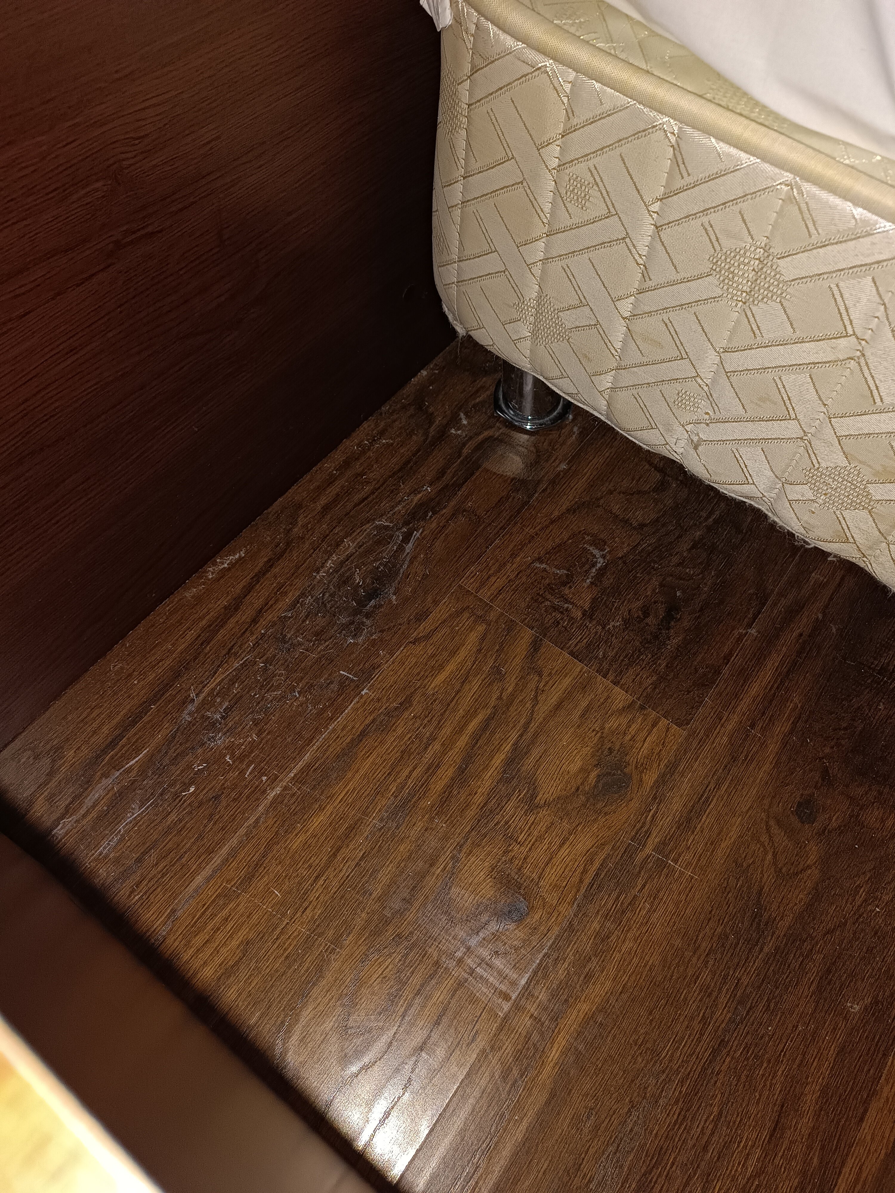 Фото Чулпан