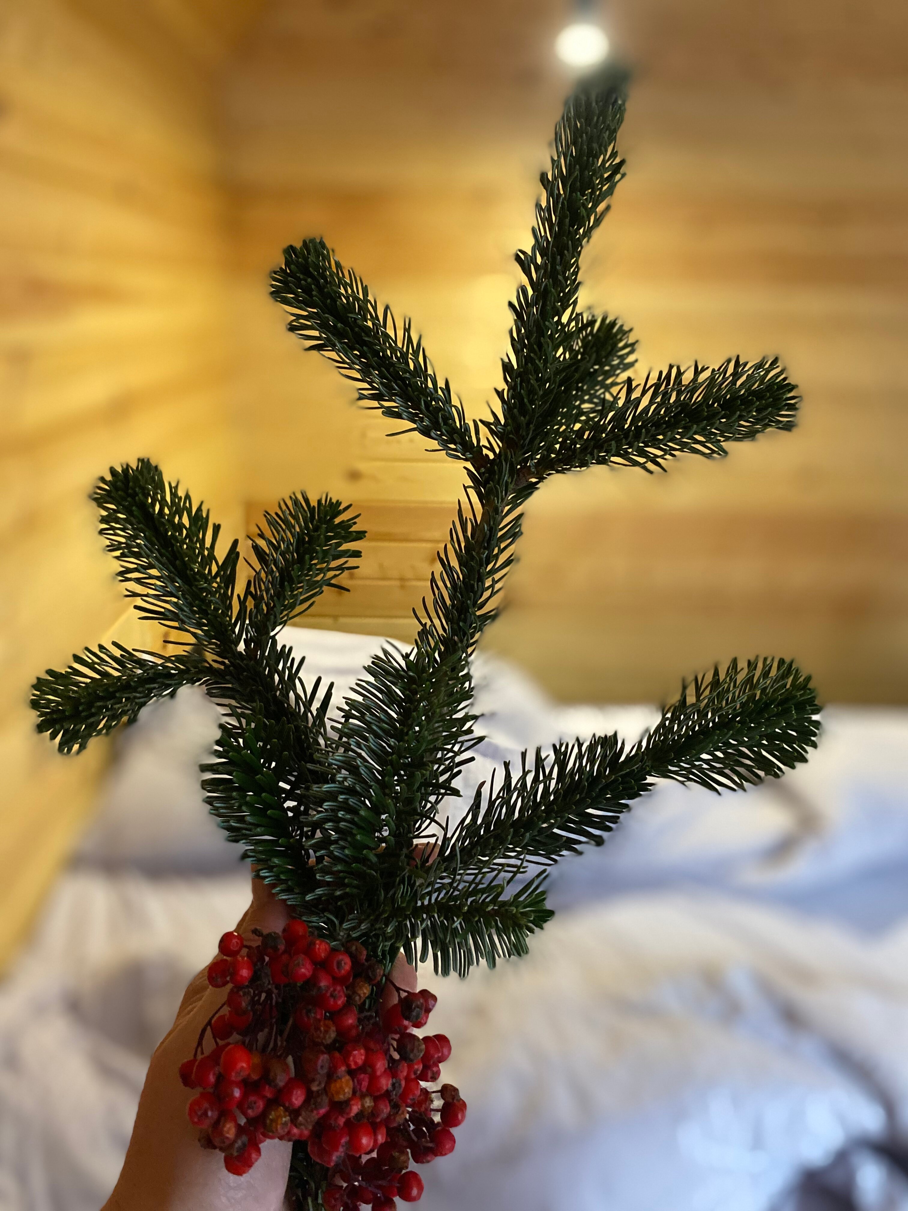 Фото Алатау Люкс