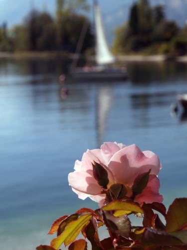 Фото Hotel Val Di Sogno