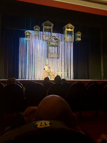 Tiyatrolar Don theatre of drama and Comedy. V. F. Komissarzhevskaya. Cossack drama theatre, Novoçerkassk, foto