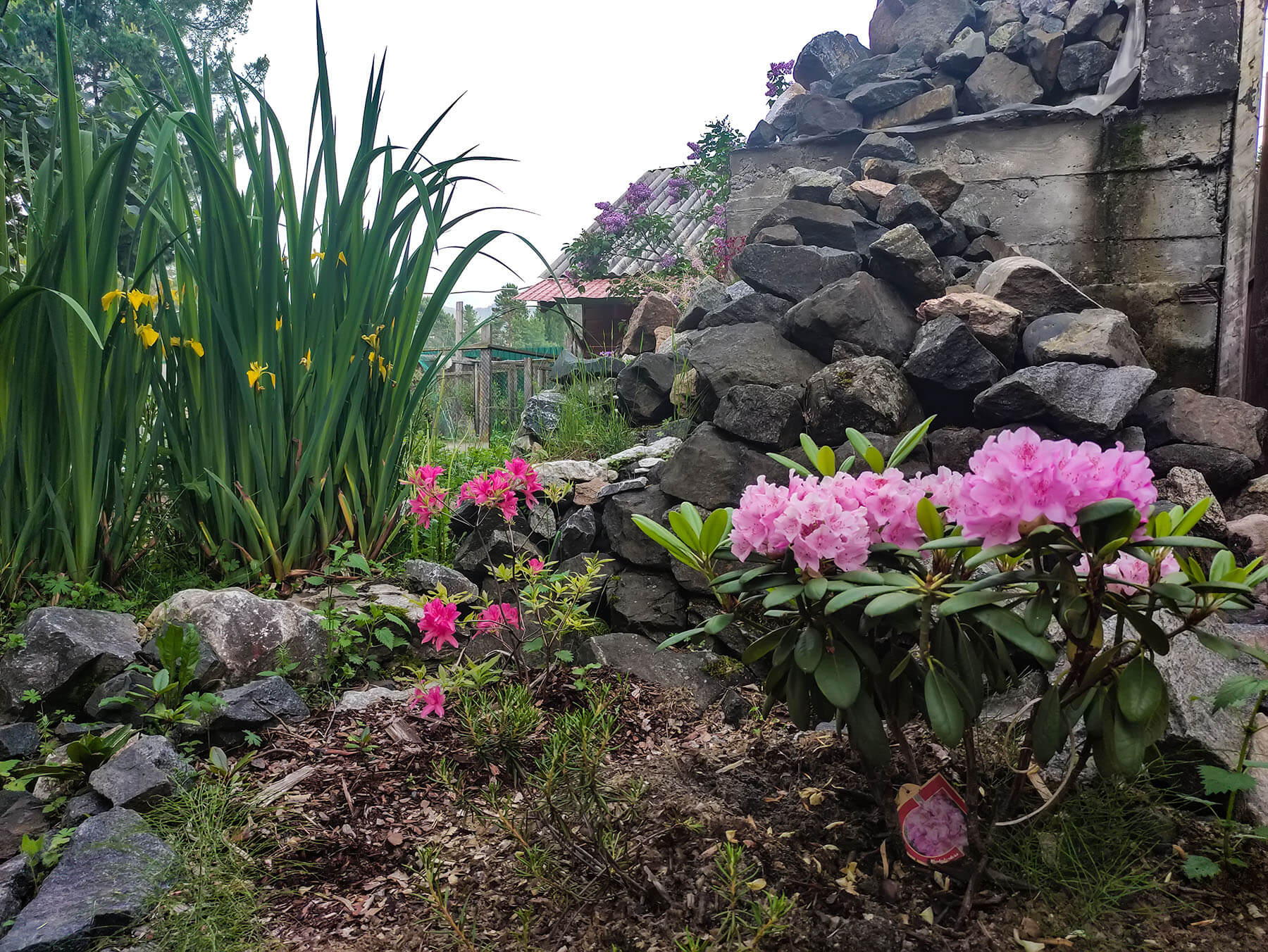 Фото Байкал Йети