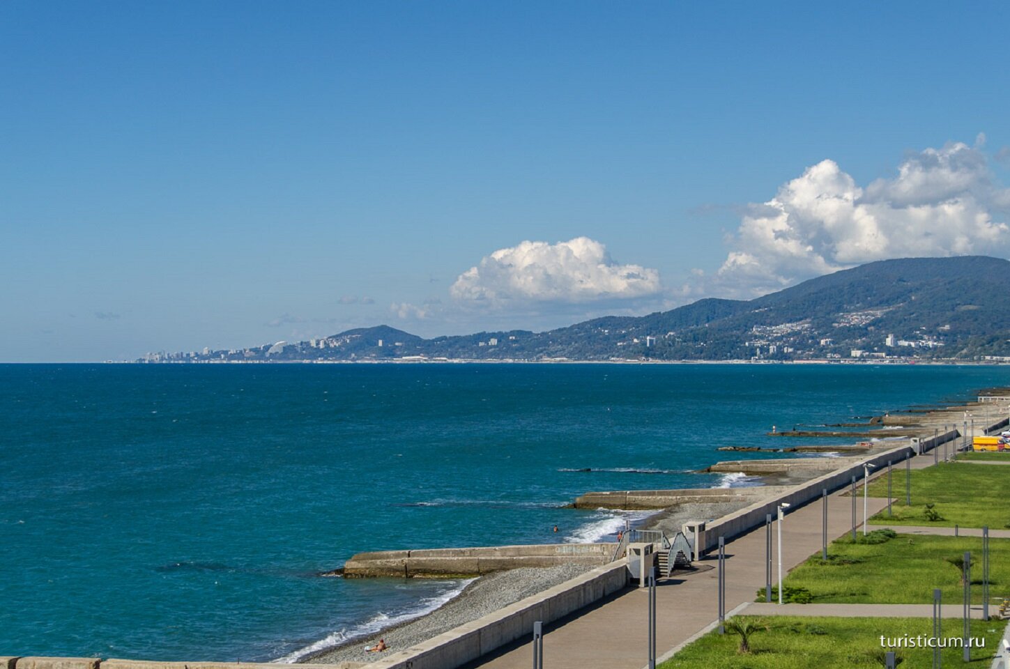 Фото Клевер