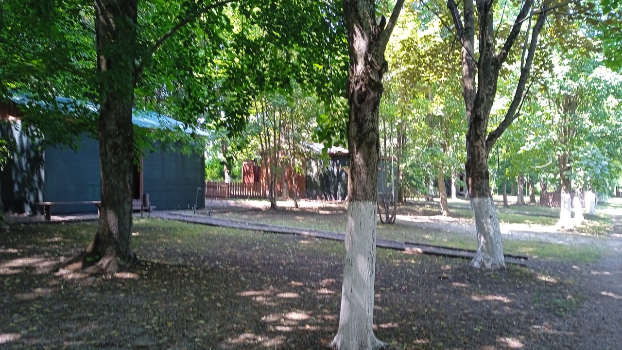 Фото Водоем Центральный