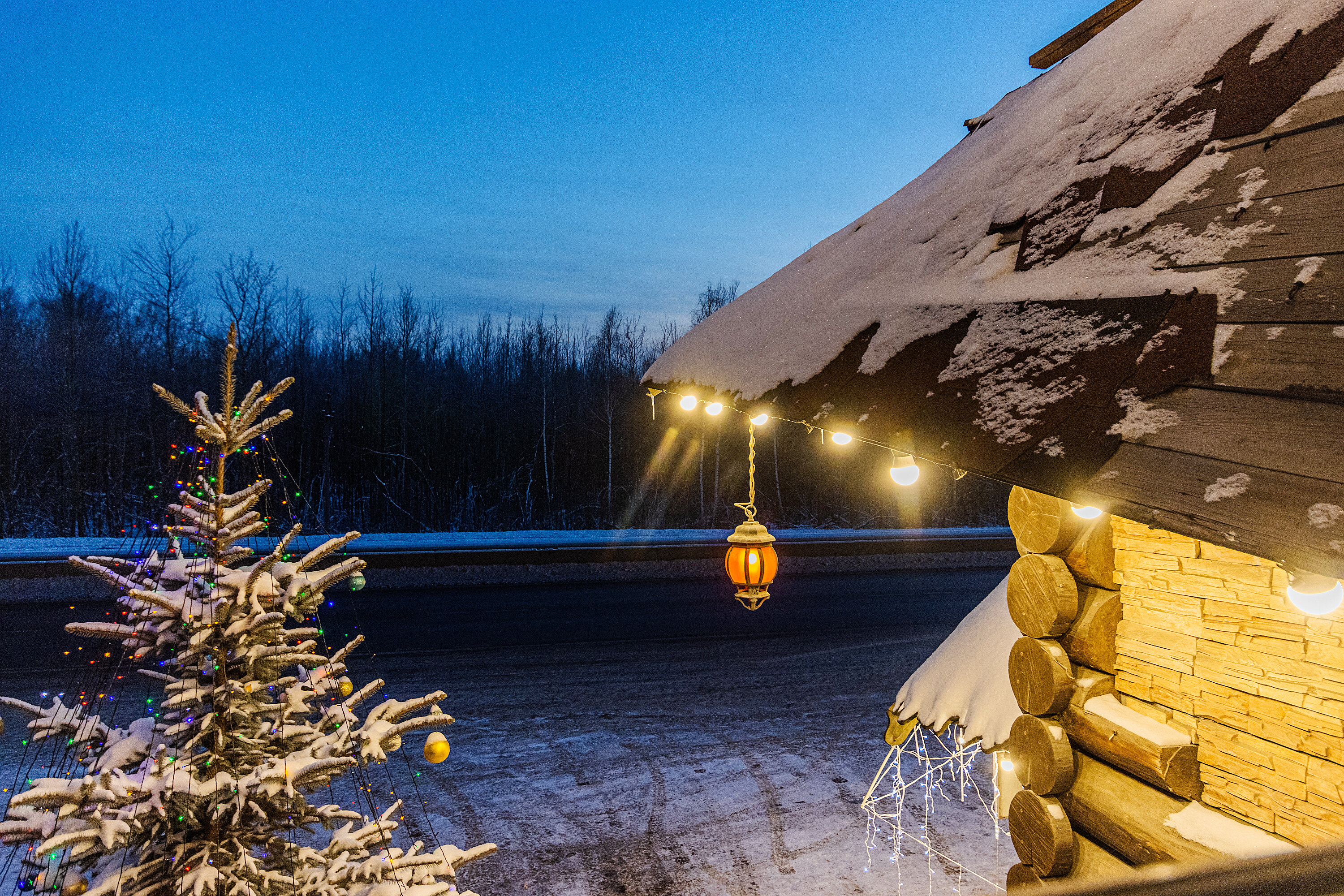 Фото Лесная сказка