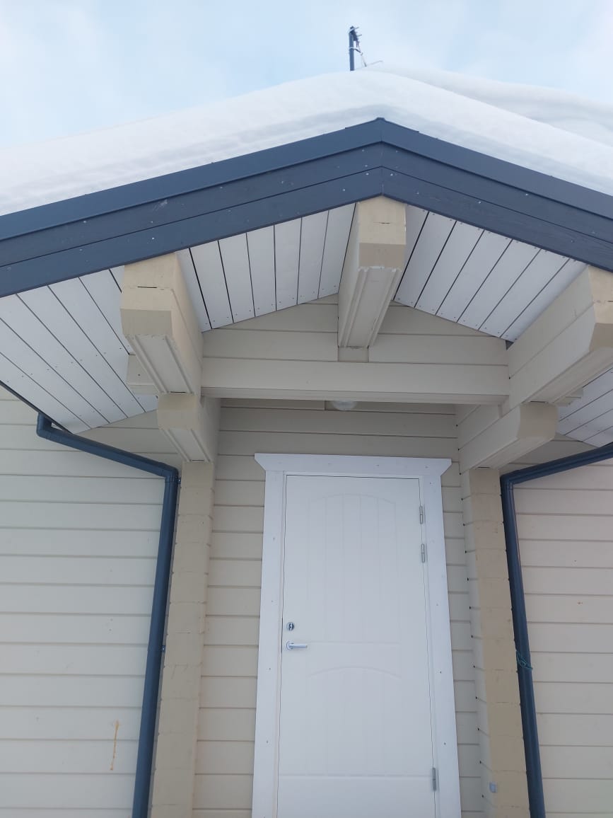 Фото Таволга