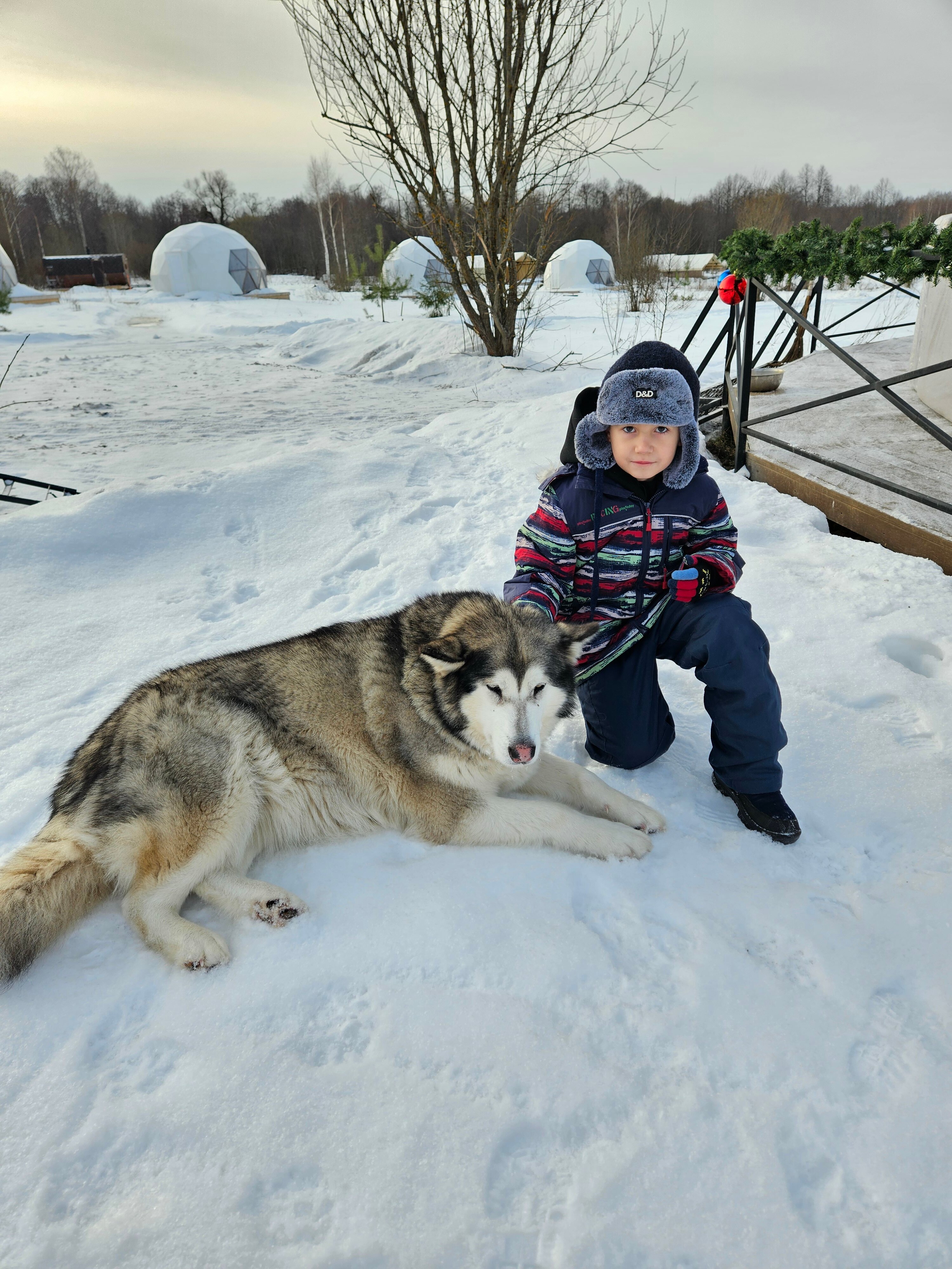 Фото Просто Cosmos