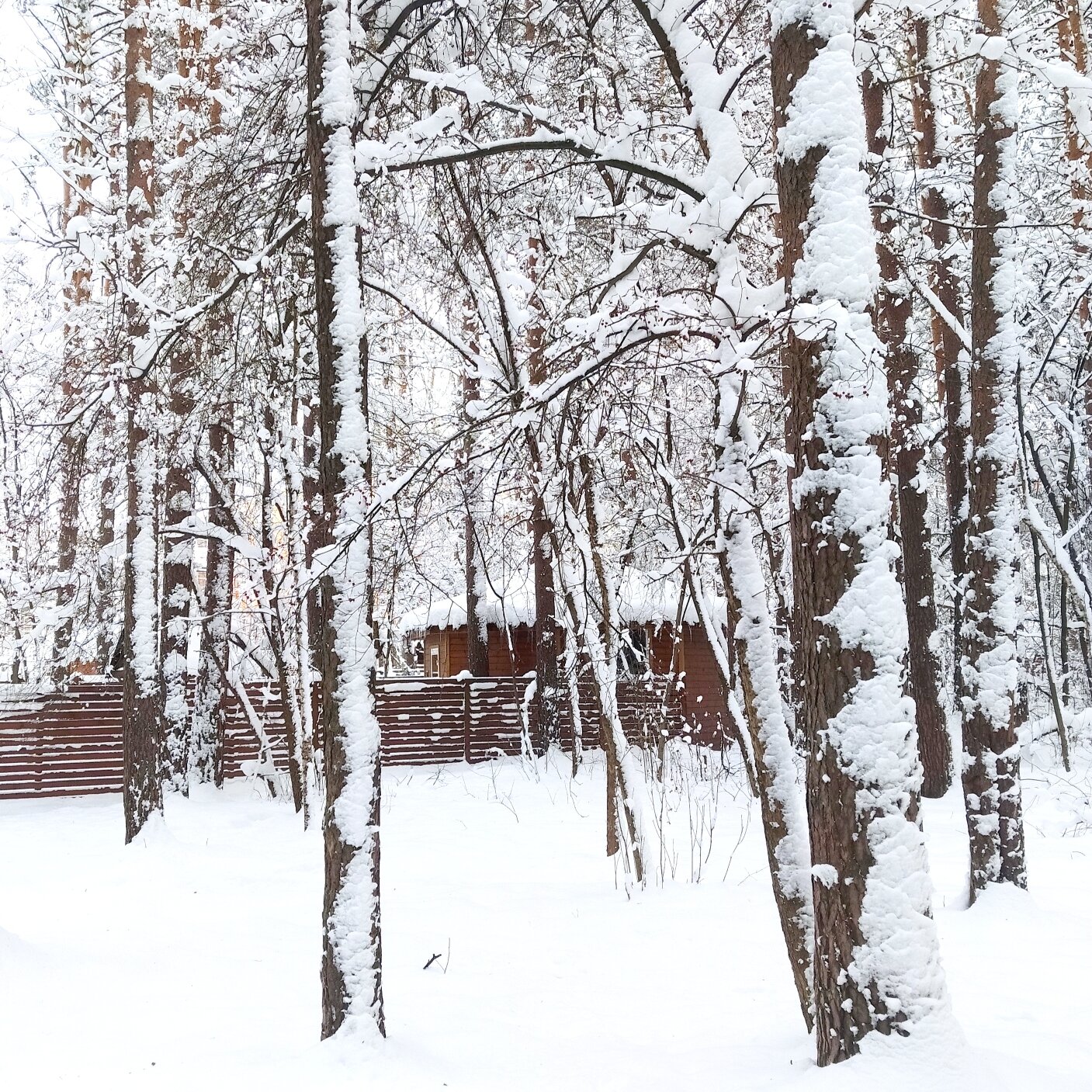 Фото Avs Отель