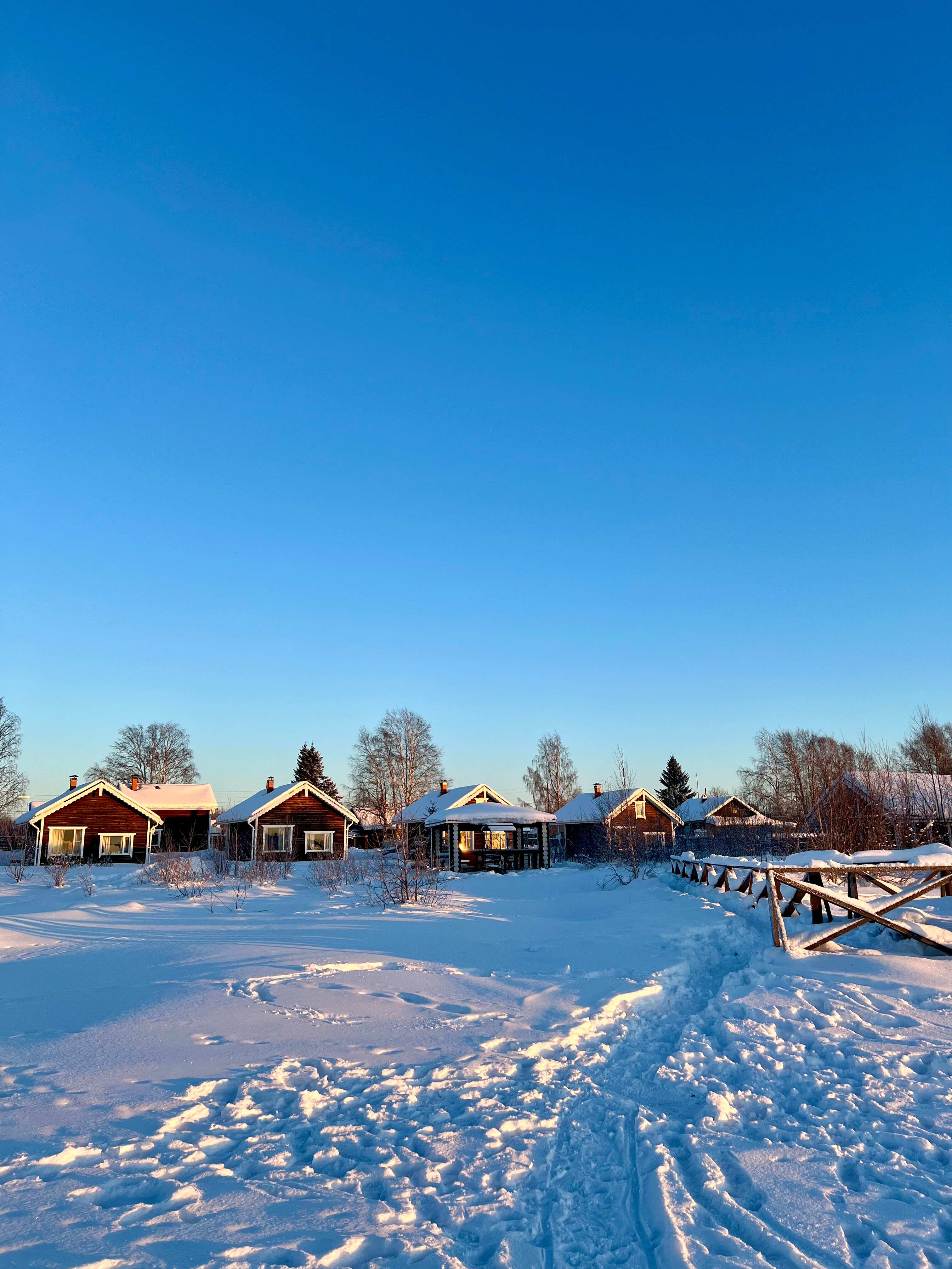 Фото Кивиранта