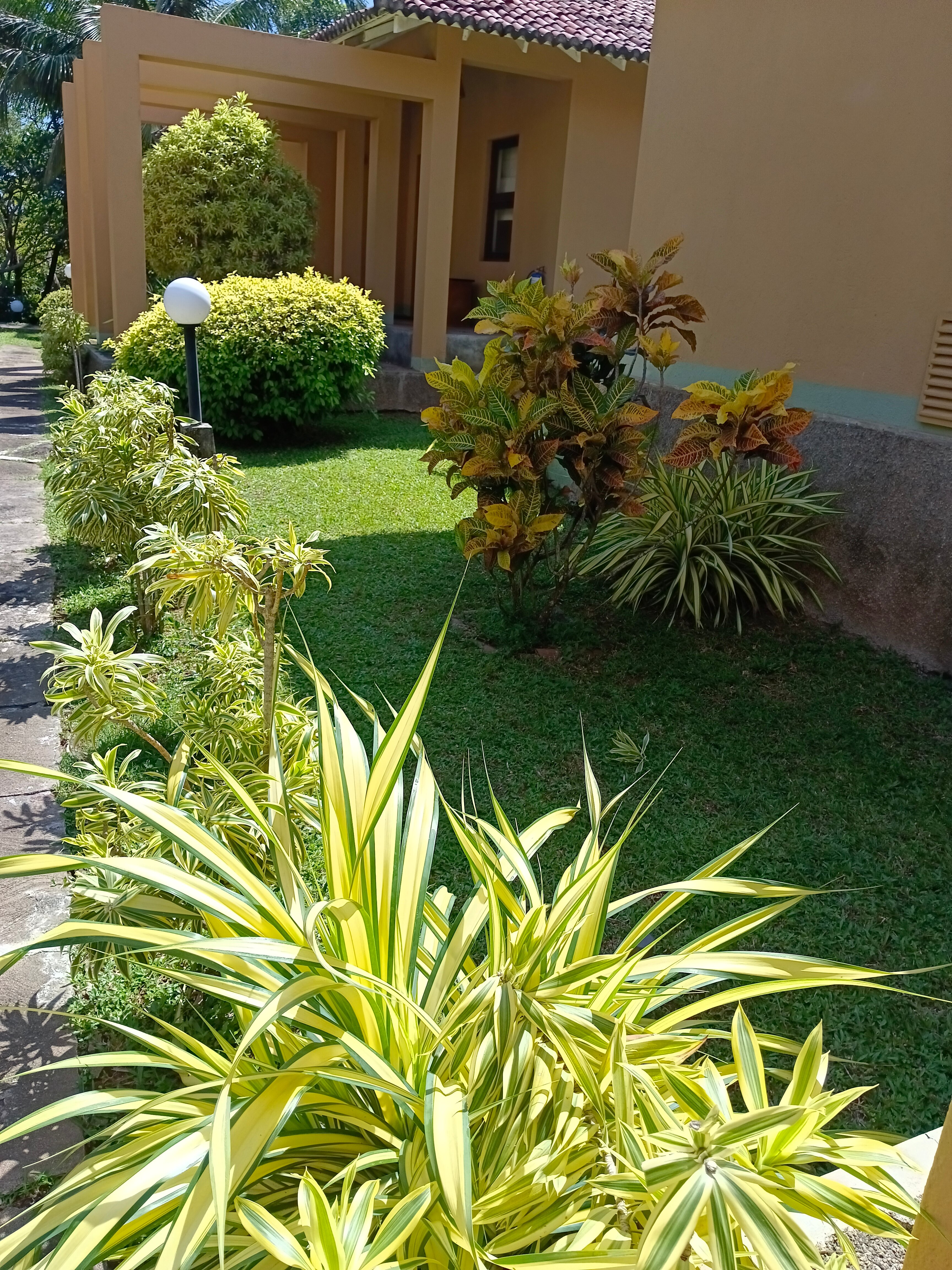 Фото Club Palm Bay