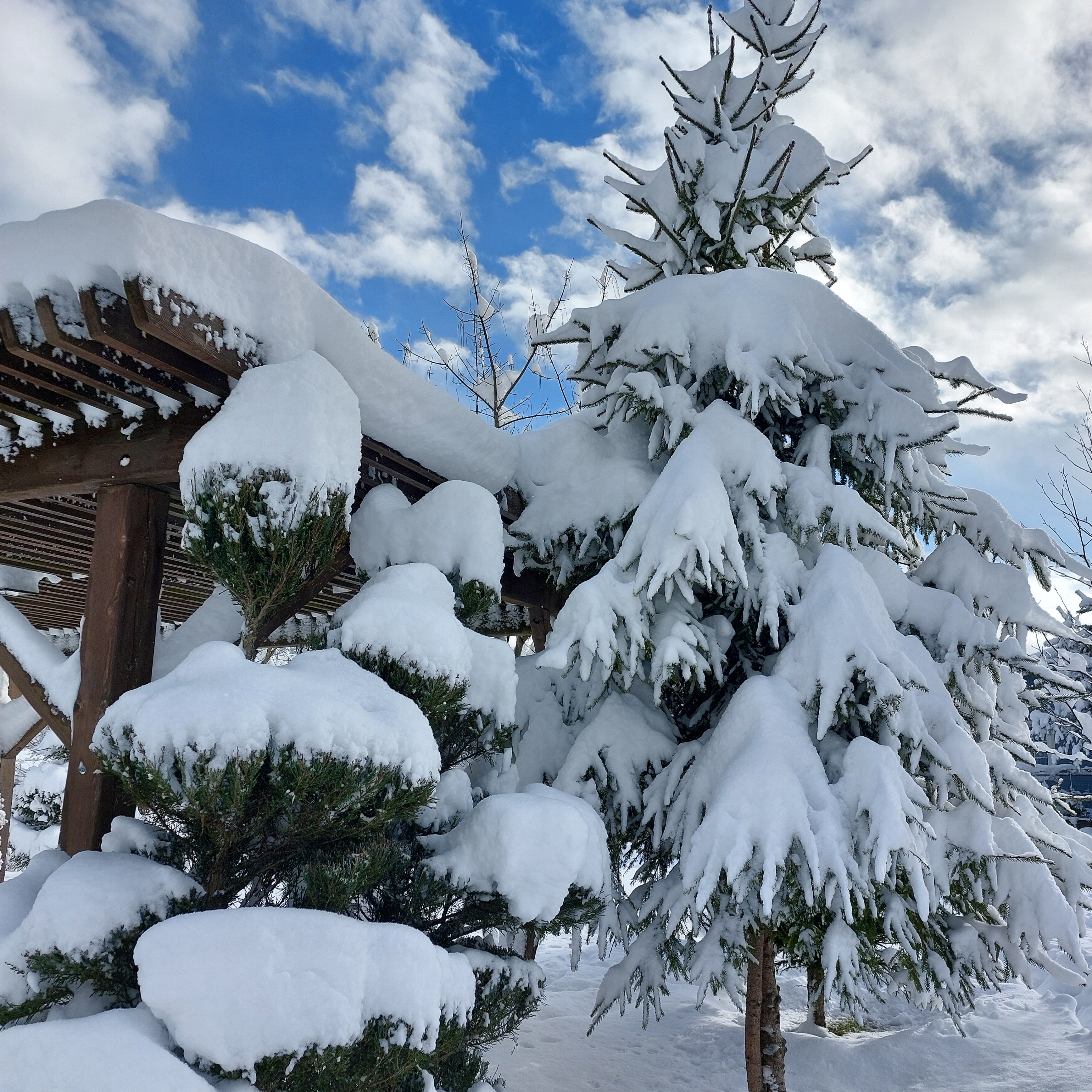 Фото Горное Шале