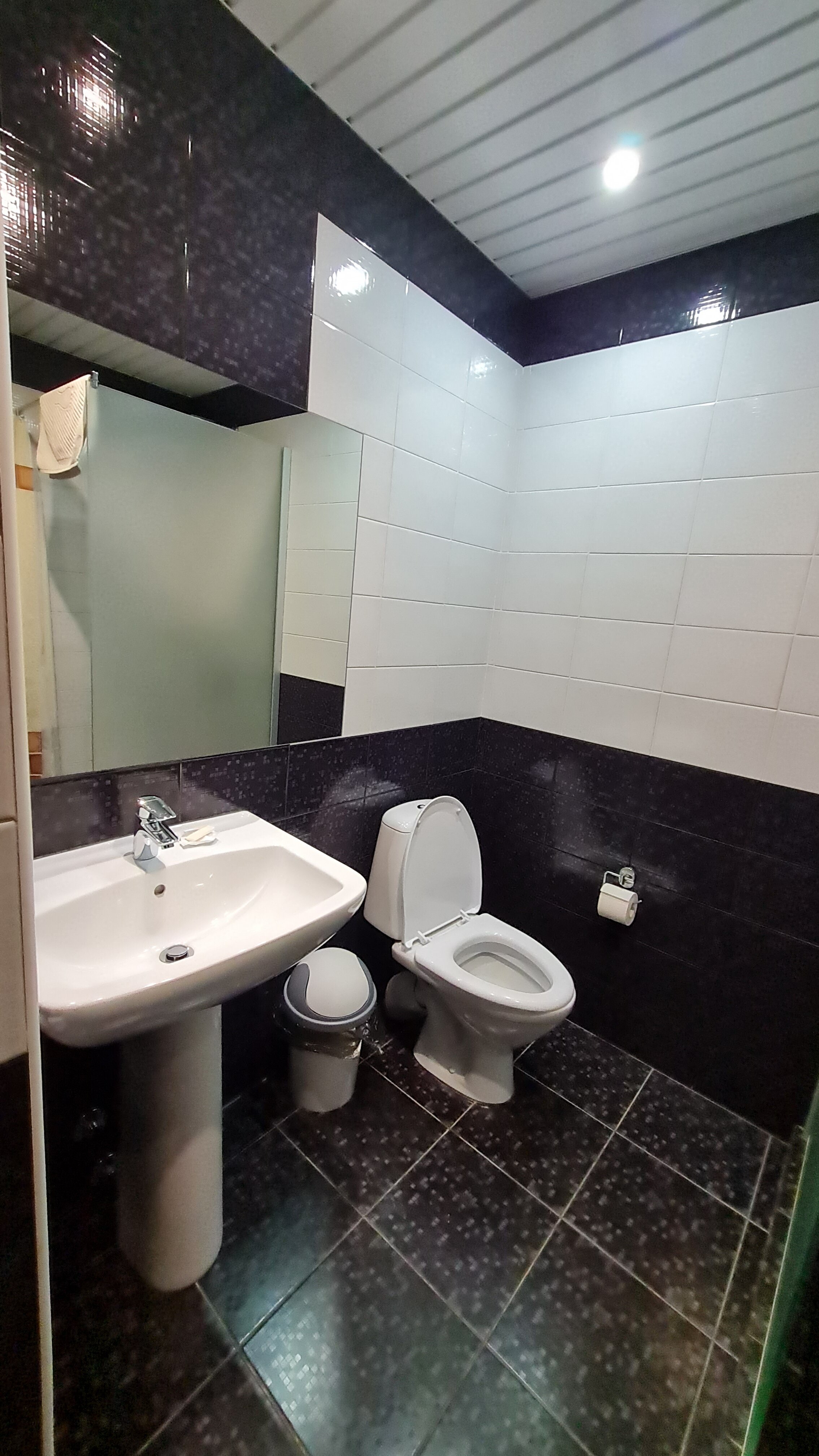 Фото Крокус