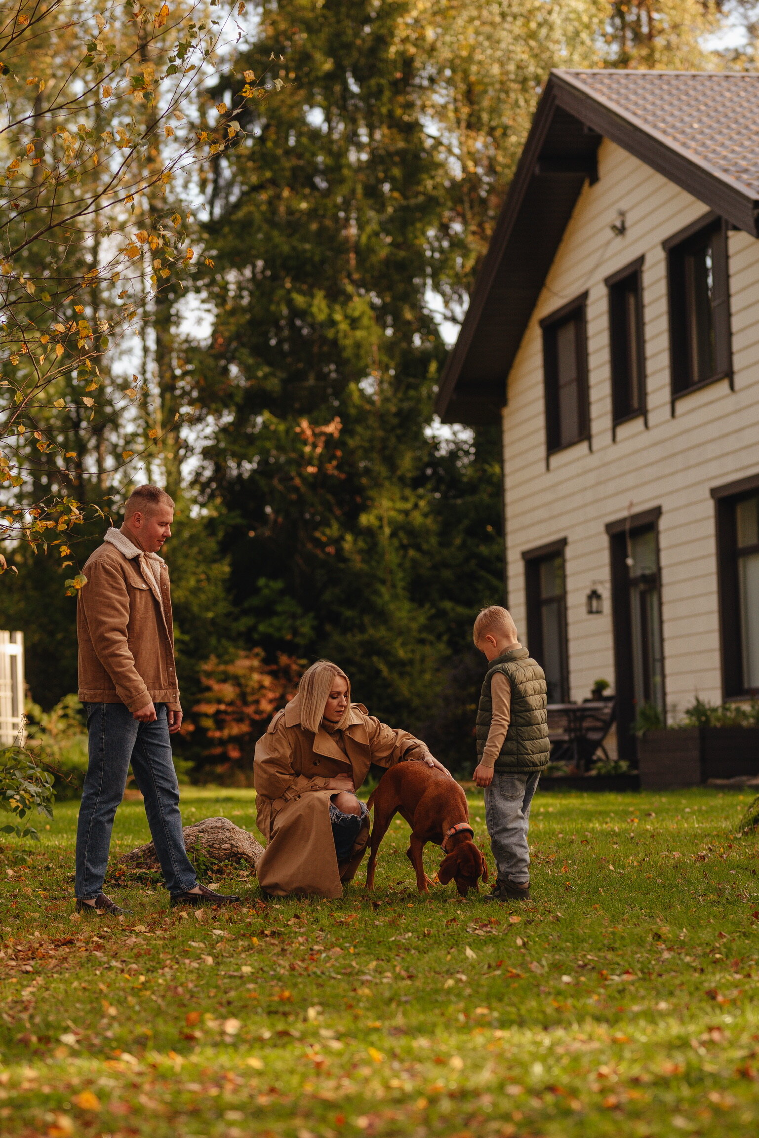 Фото Волшебный лес