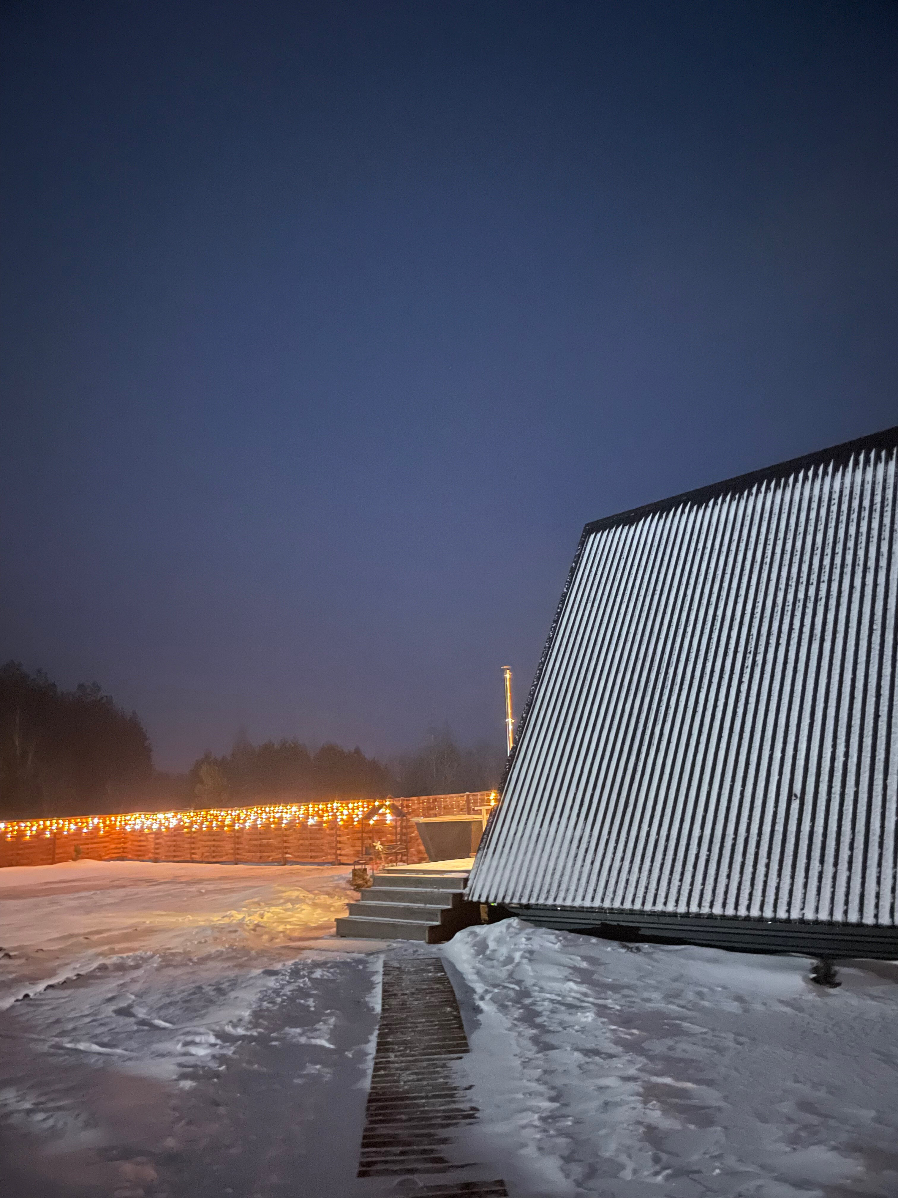 Фото Шишкин Афрейм