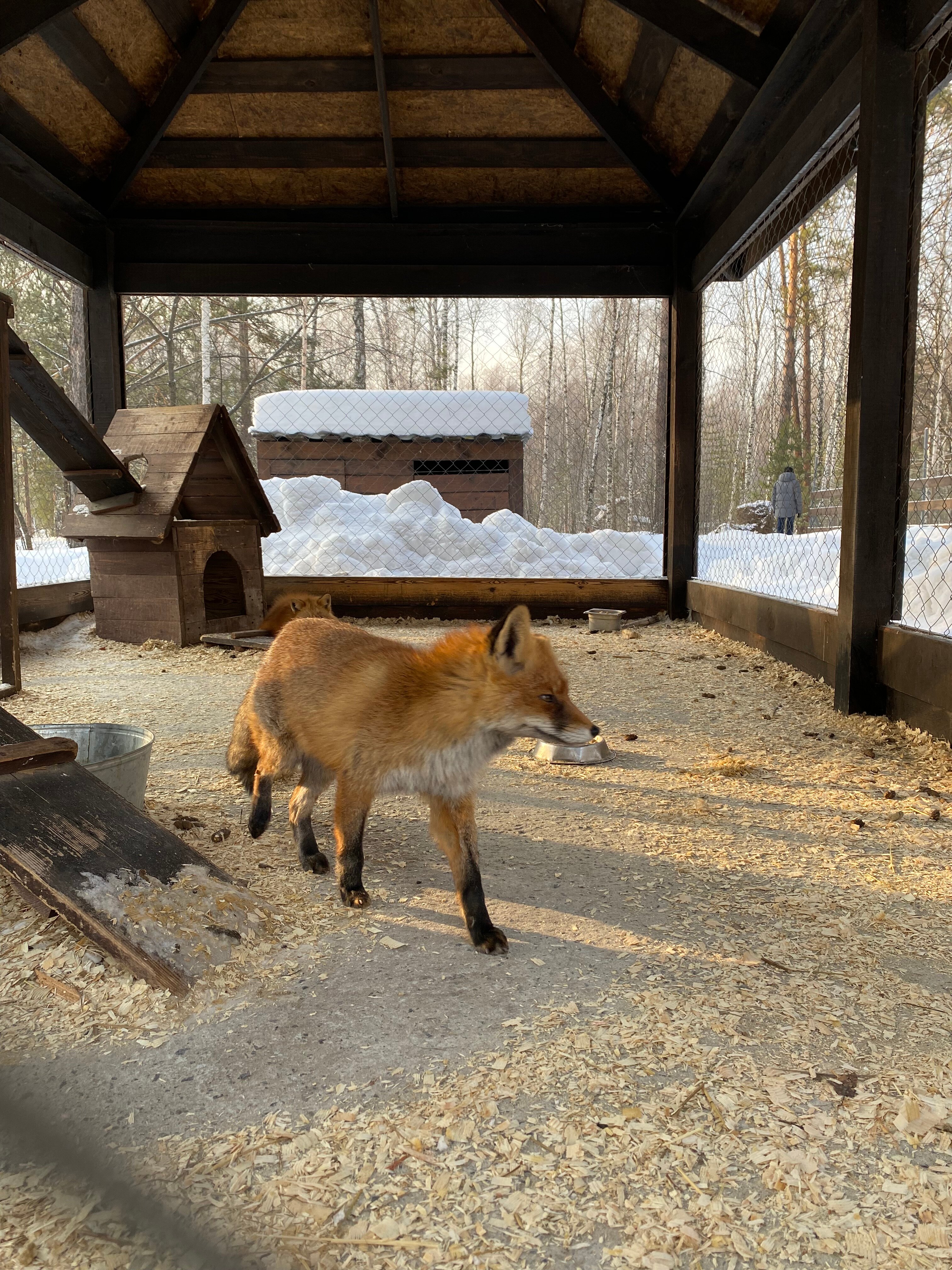 Фото Лаки Глэмпинг