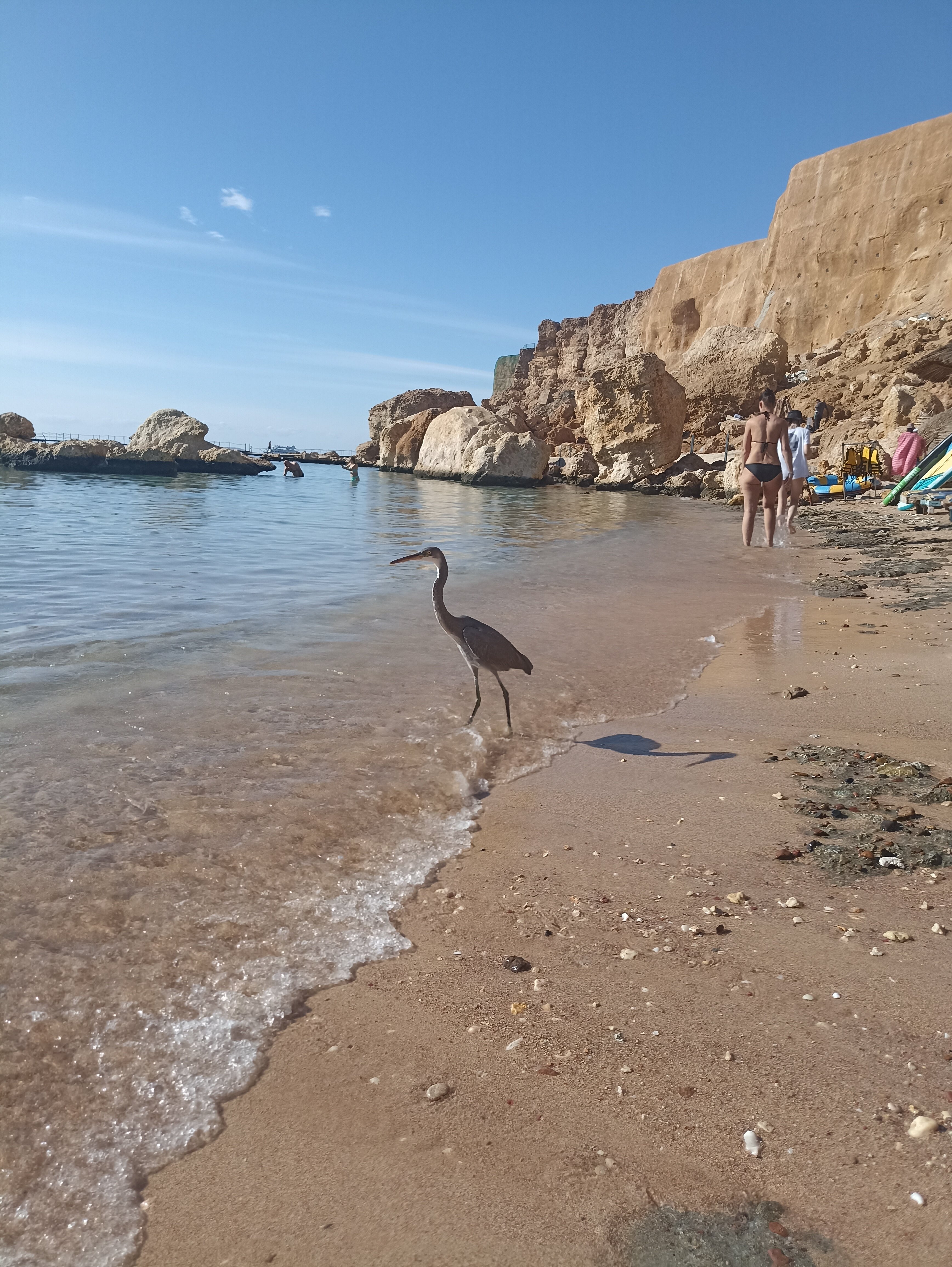 Фото Sharm Cliff Resort