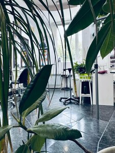Fox Place (Akademika Bakuleva Street, 10), beauty salon