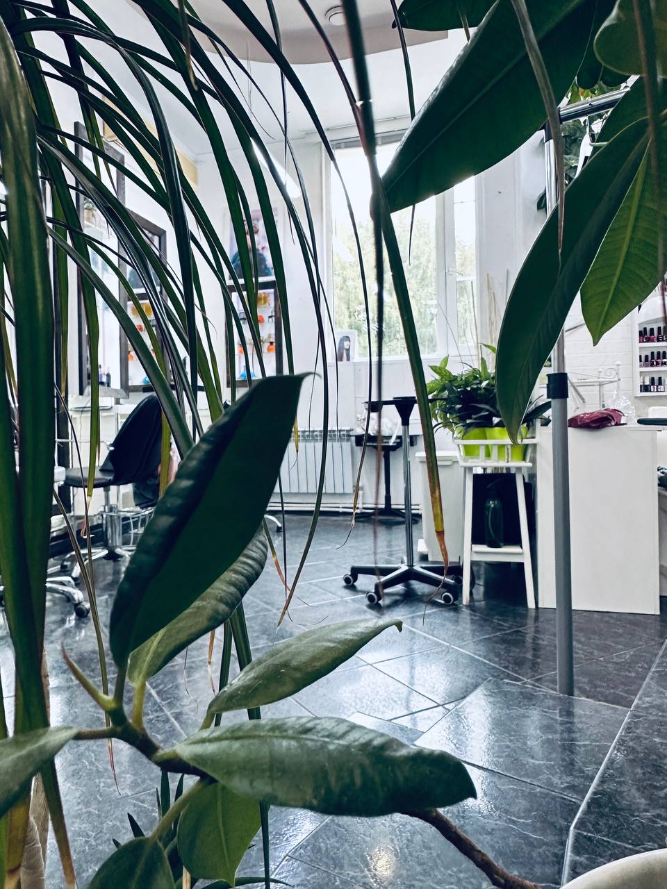 Mast qizlar oral seks qusish