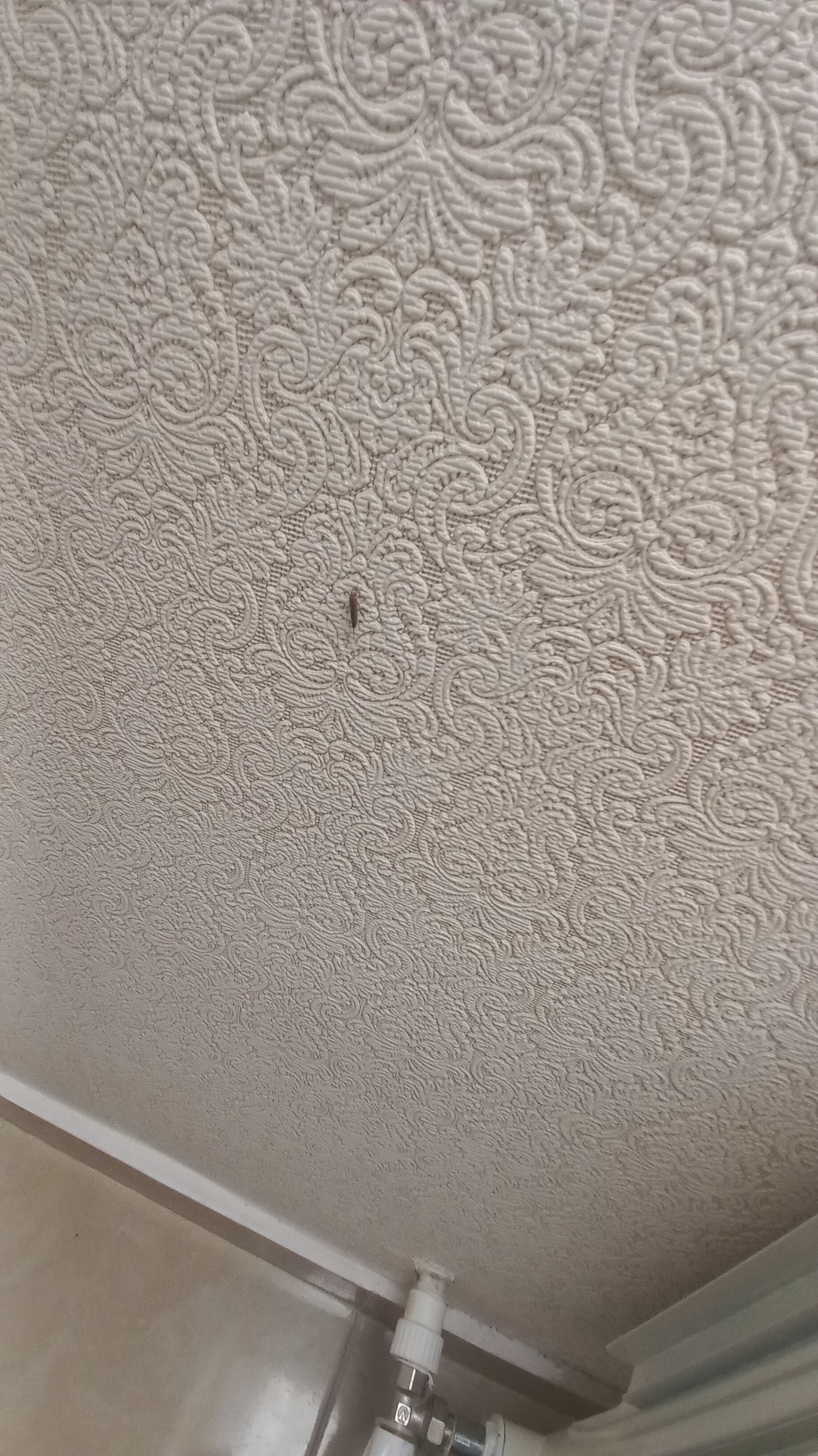 Фото Монако