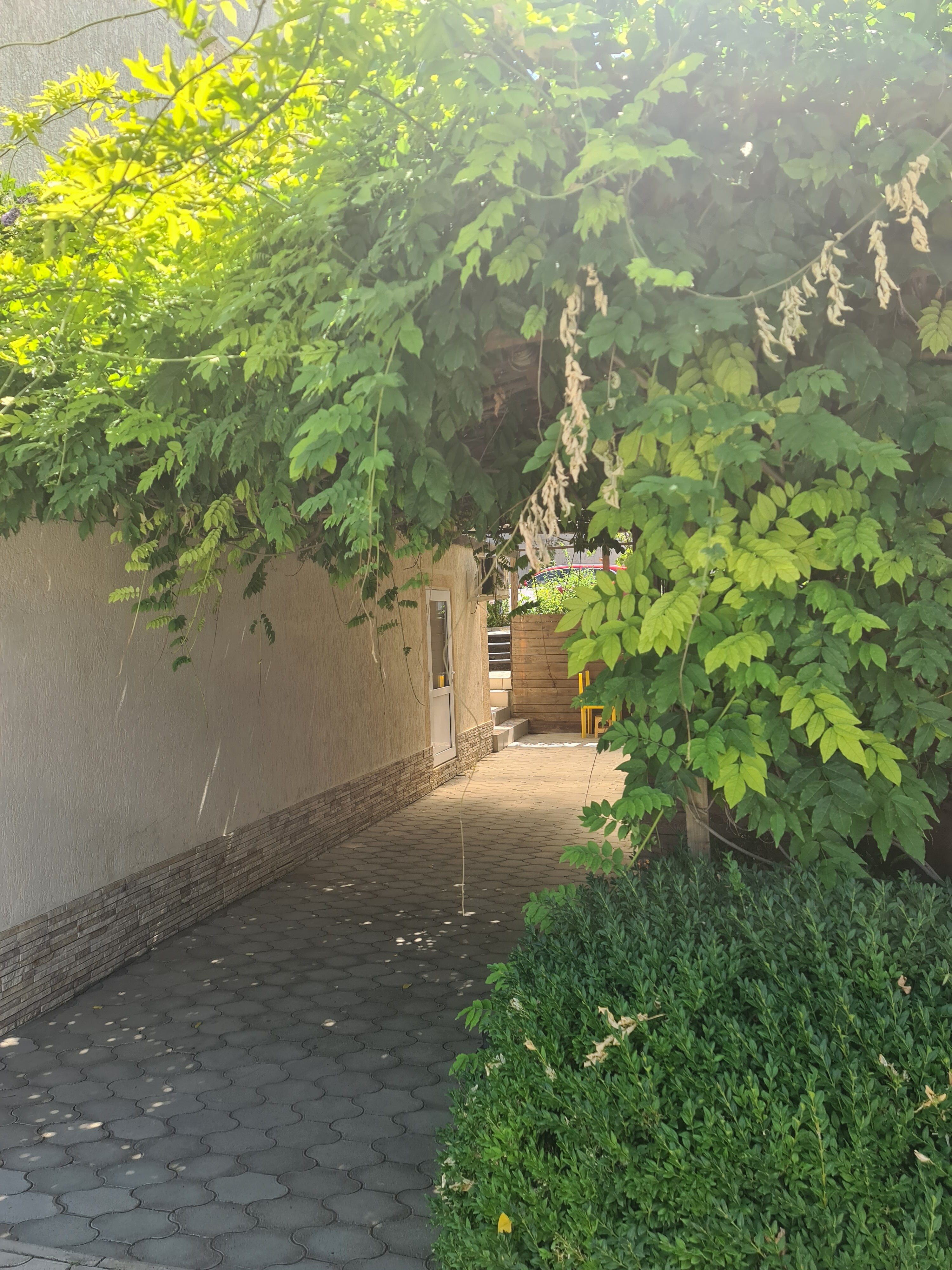 Фото Четыре Лилии