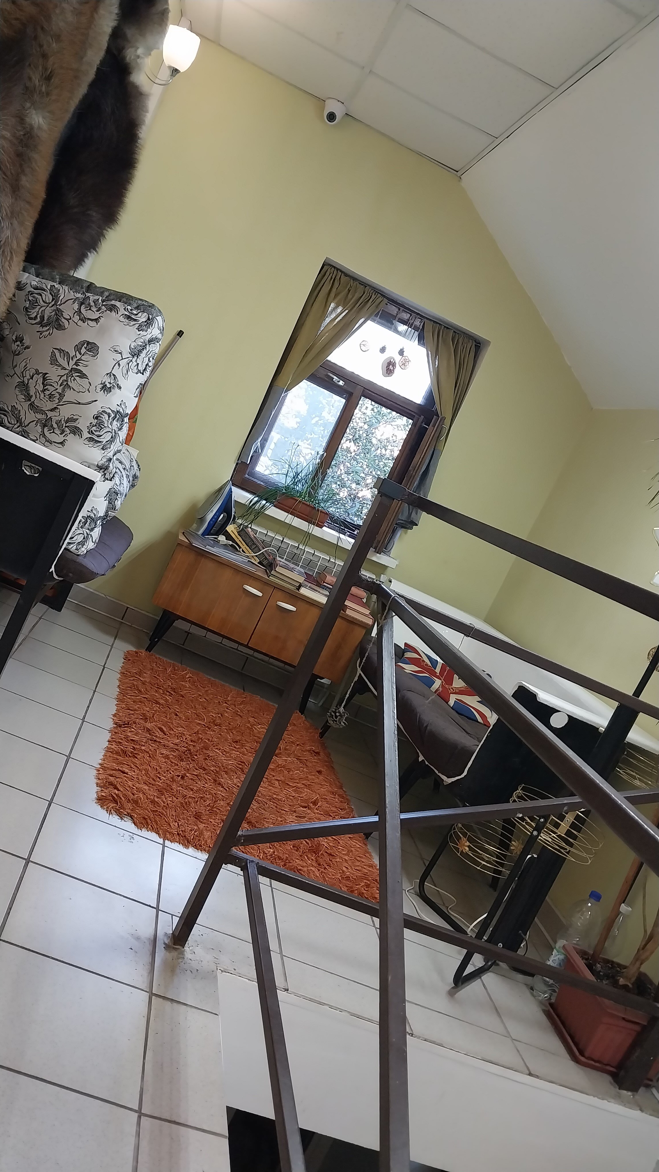 Фото ЯсенПень