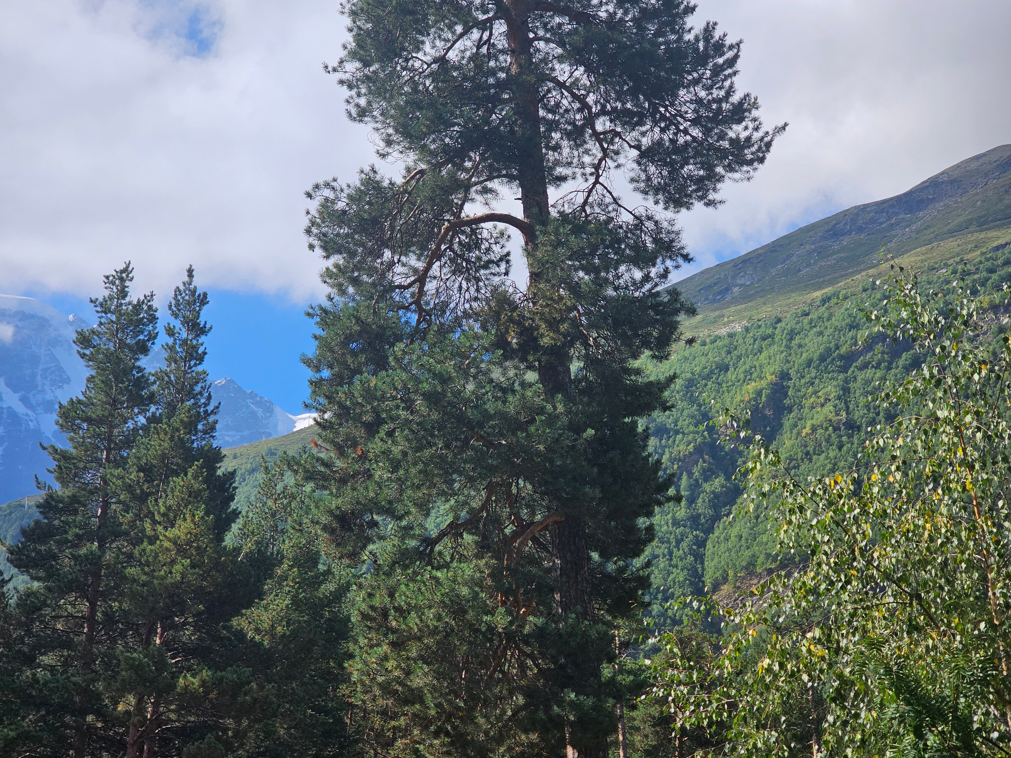 Фото Гранд Терскол