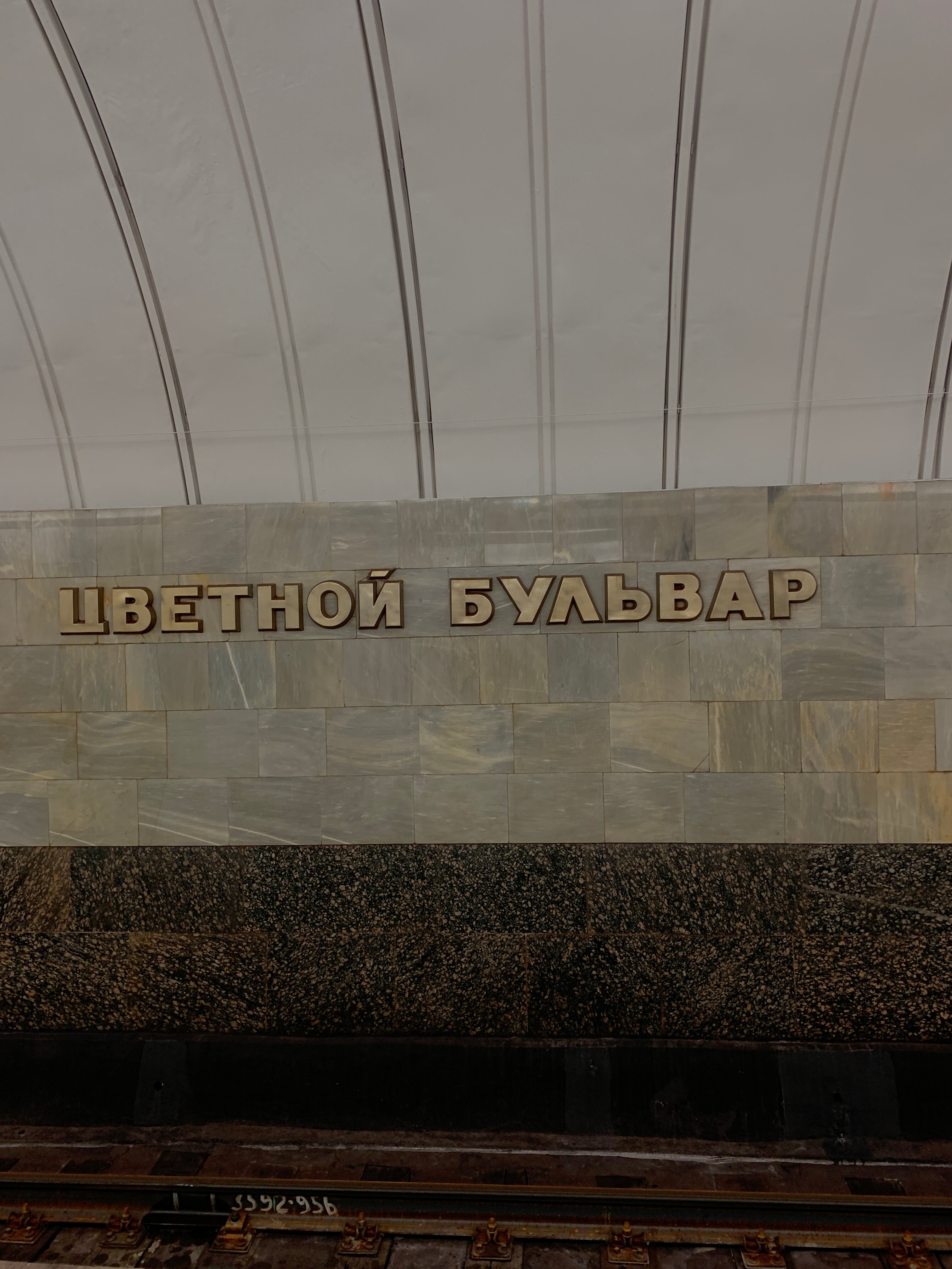 Фото На Цветном